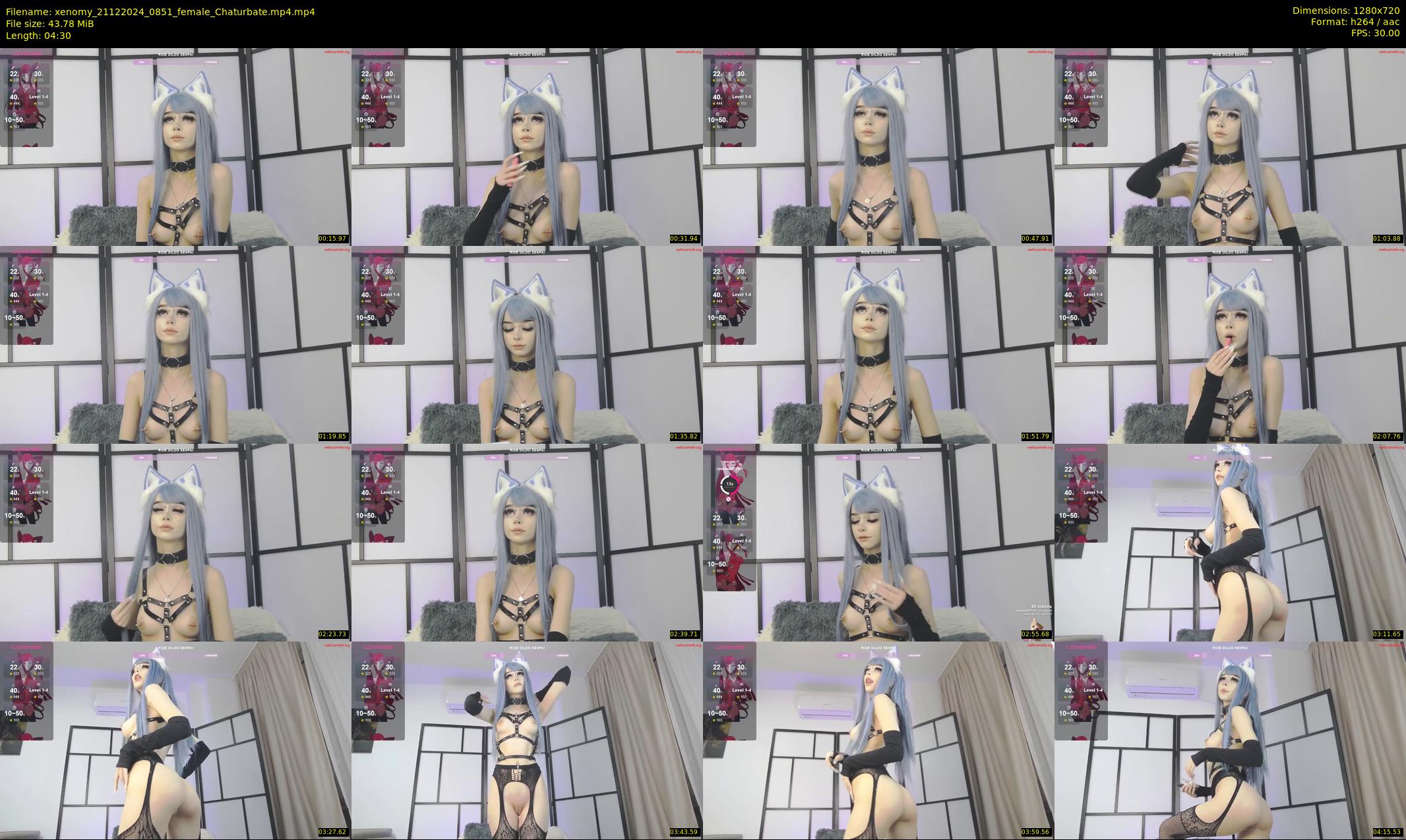 xenomy — 5 minute Chaturbate female cam show recording, 720p, Dec 21, 2024