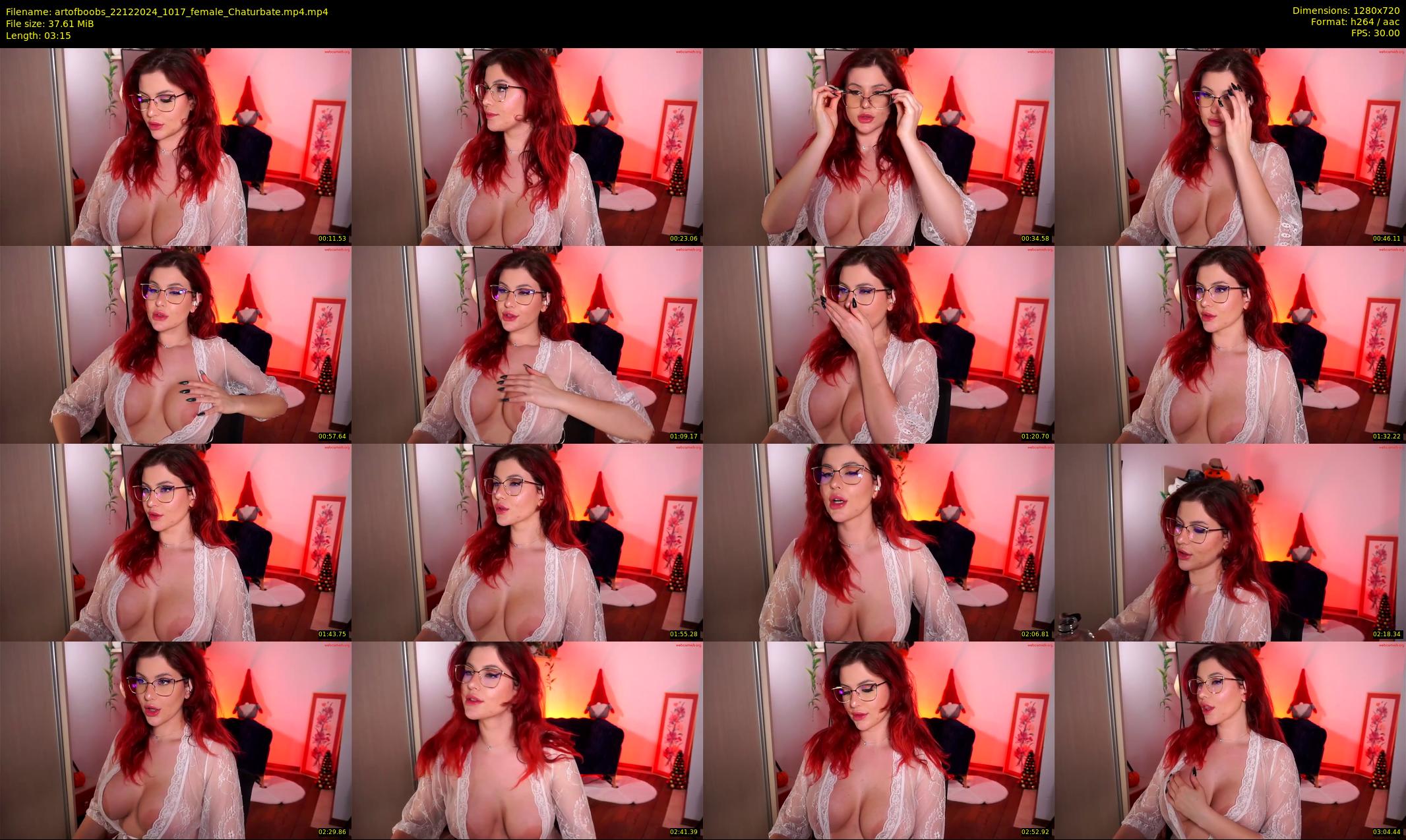 artofboobs — 4 minute Chaturbate female cam show recording, 720p, Dec 22, 2024