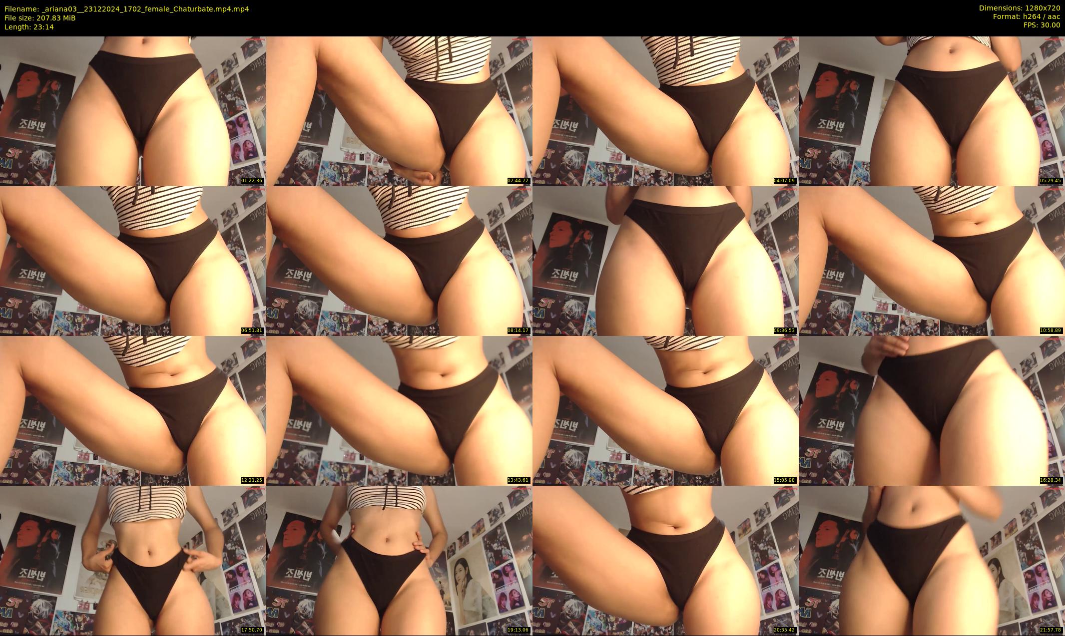 _ariana03_ — 24 minute Chaturbate female cam show recording, 720p, Dec 23, 2024