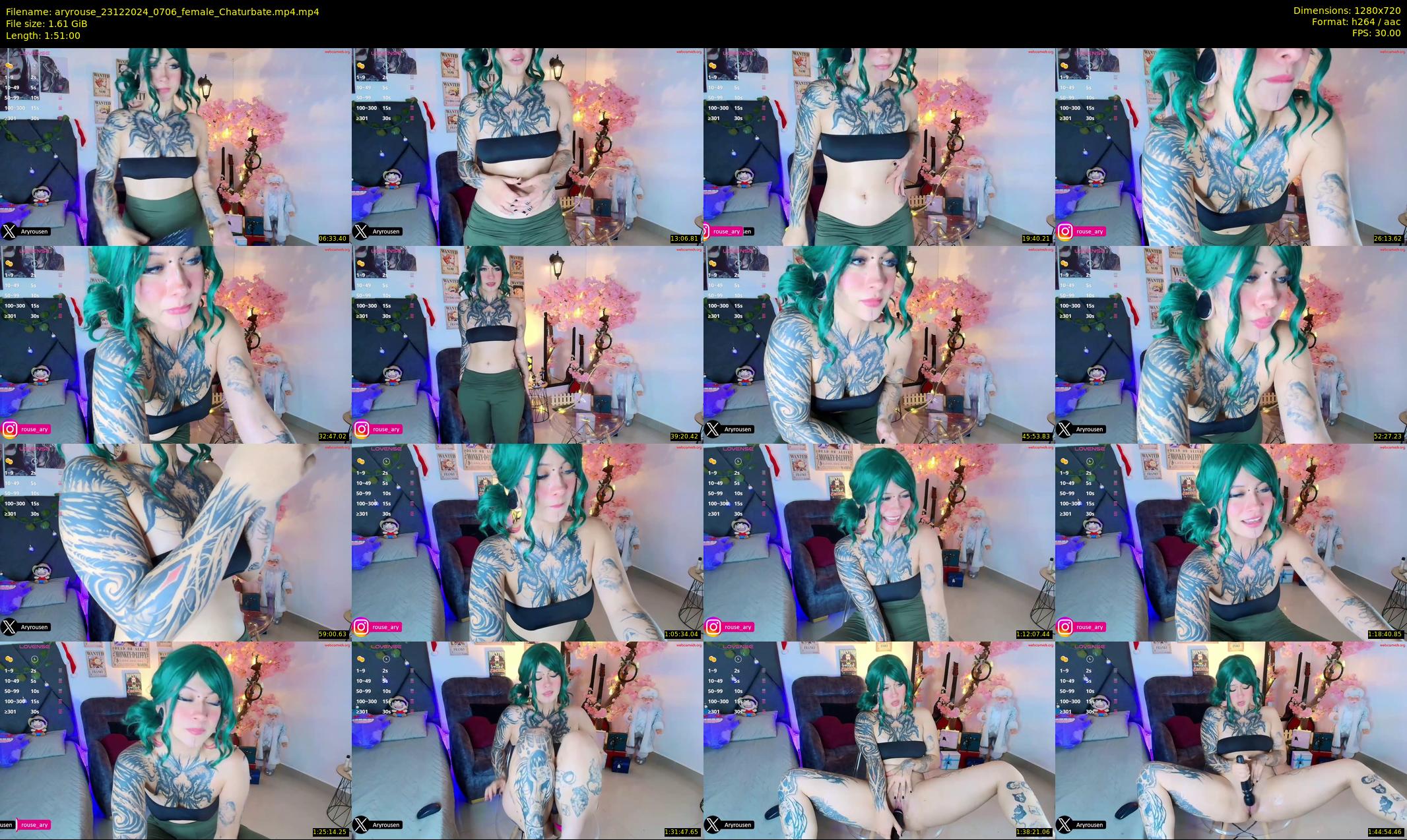 aryrouse — 111 minute Chaturbate female cam show recording, 720p, Dec 23, 2024