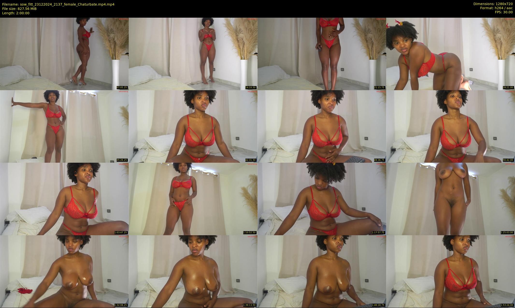 sow_fitt — 120 minute Chaturbate female cam show recording, 720p, Dec 23, 2024