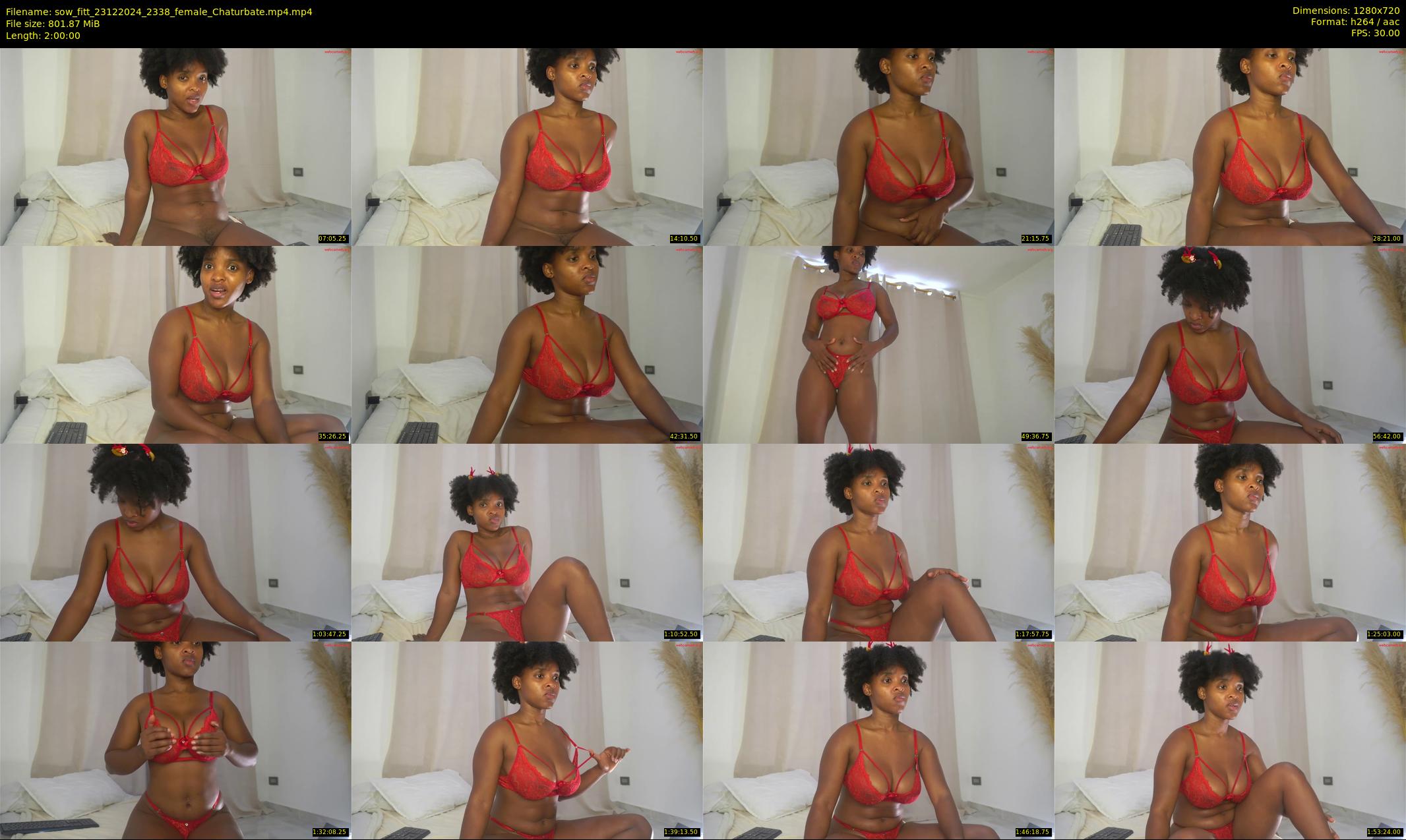 sow_fitt — 120 minute Chaturbate female cam show recording, 720p, Dec 23, 2024