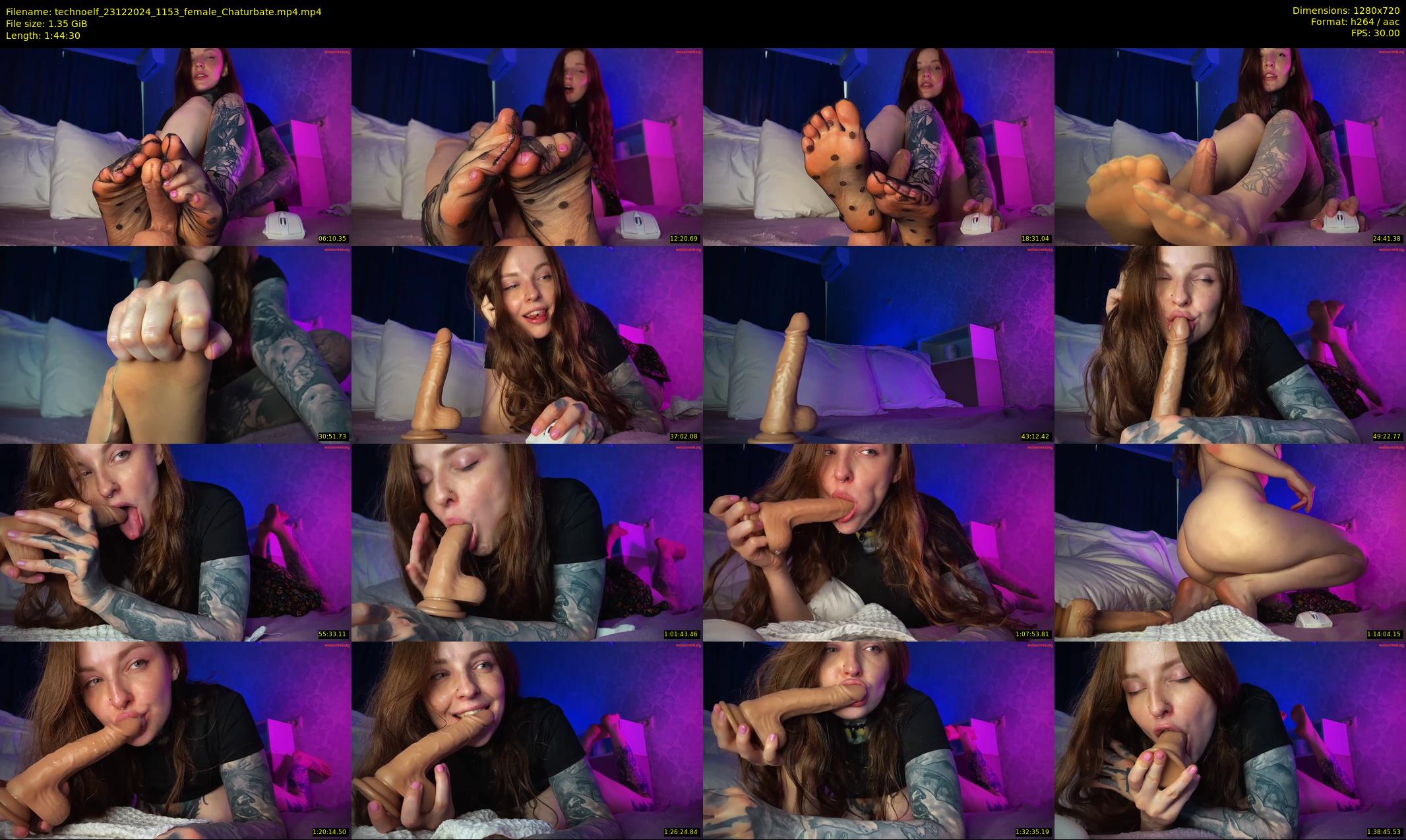 technoelf — 105 minute Chaturbate female cam show recording, 720p, Dec 23, 2024
