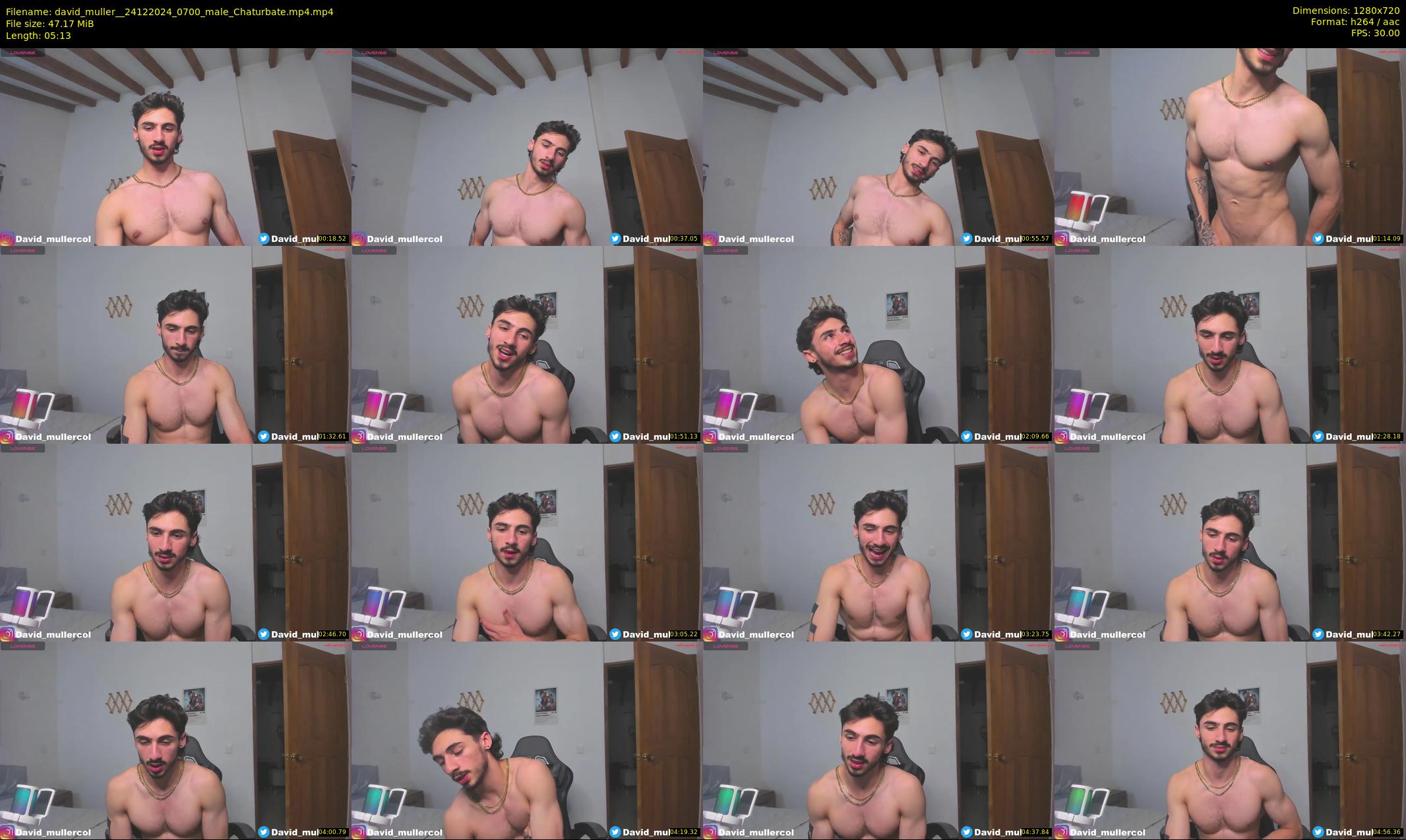 david_muller_ — 6 minute Chaturbate male cam show recording, 720p, Dec 24, 2024