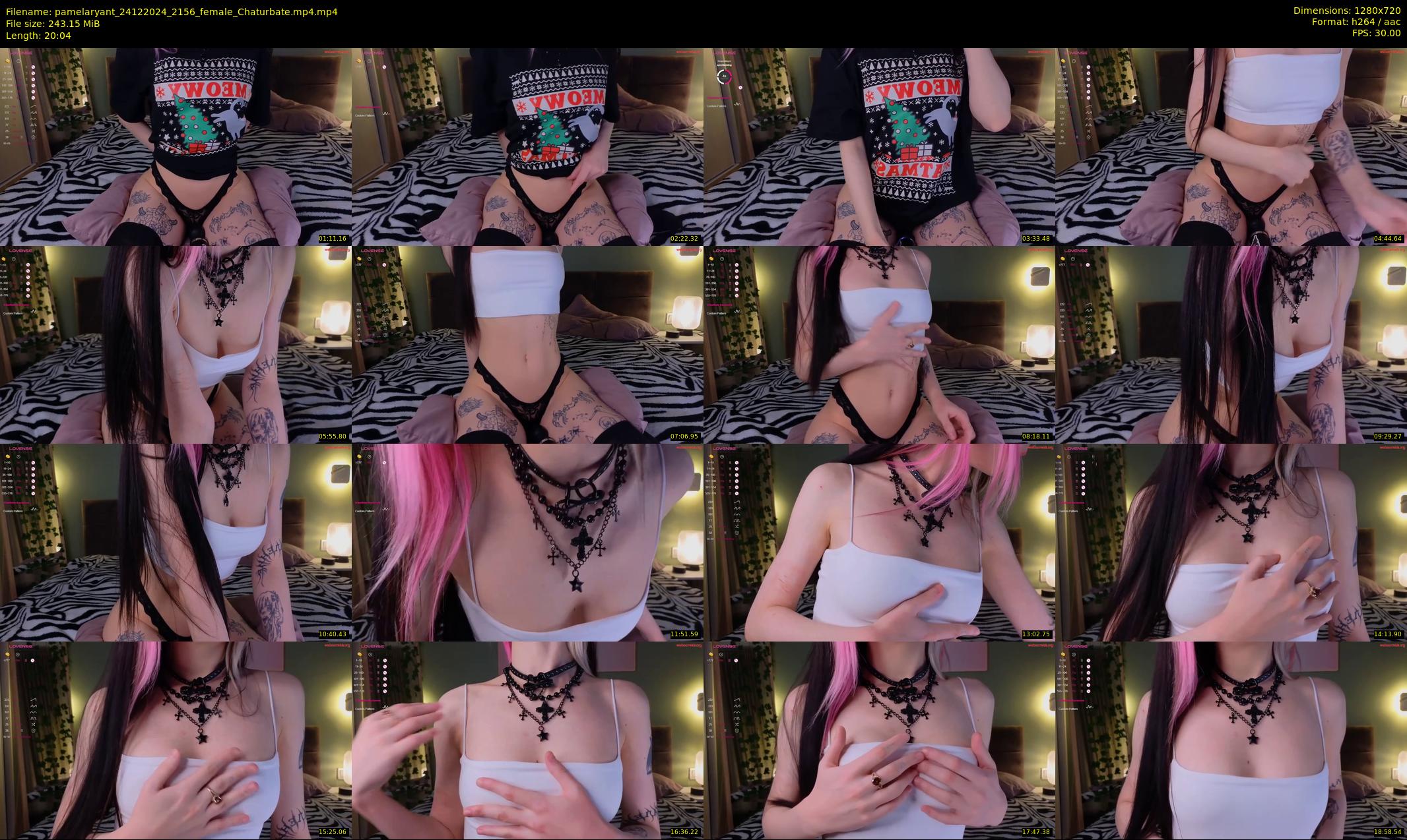pamelaryant — 21 minute Chaturbate female cam show recording, 720p, Dec 24, 2024