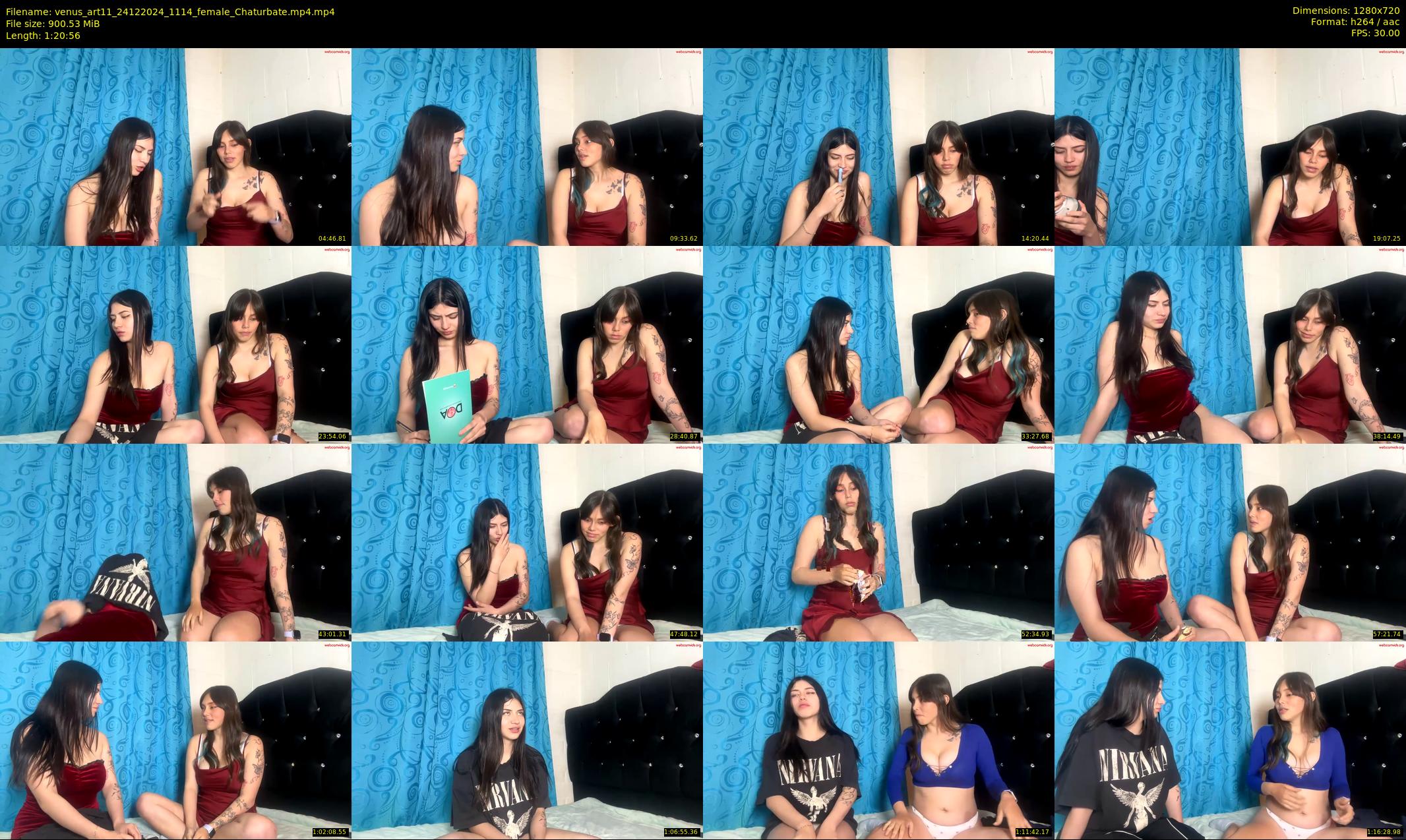 venus_art11 — 81 minute Chaturbate female cam show recording, 720p, Dec 24, 2024