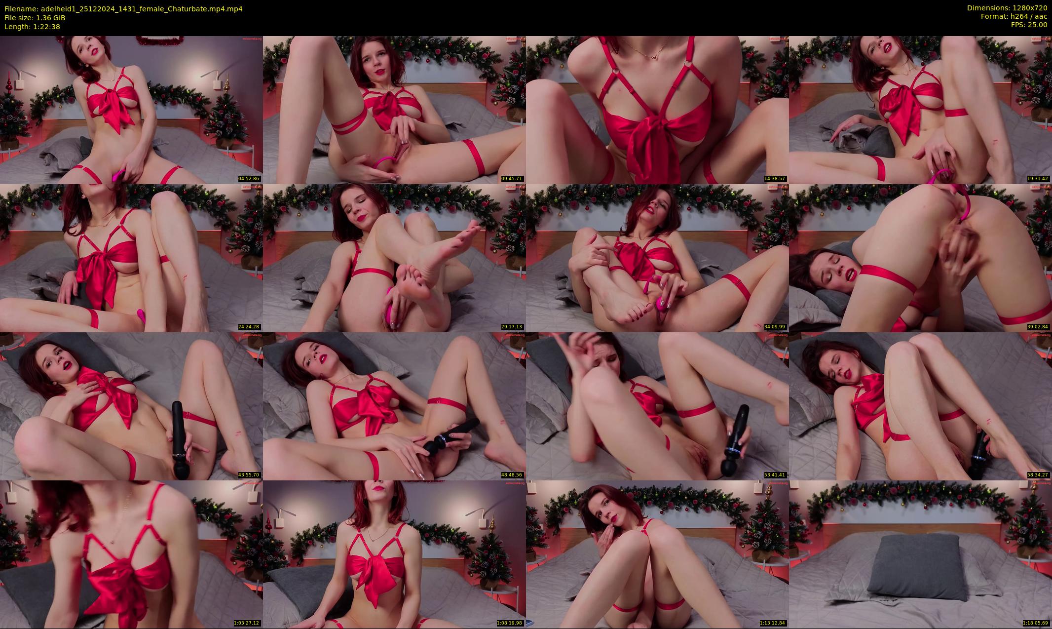 adelheid1 — 83 minute Chaturbate female cam show recording, 720p, Dec 25, 2024