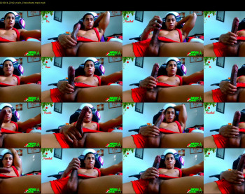 american_challenges — 19 minute Chaturbate couple cam show recording, 720p, Dec 25, 2024