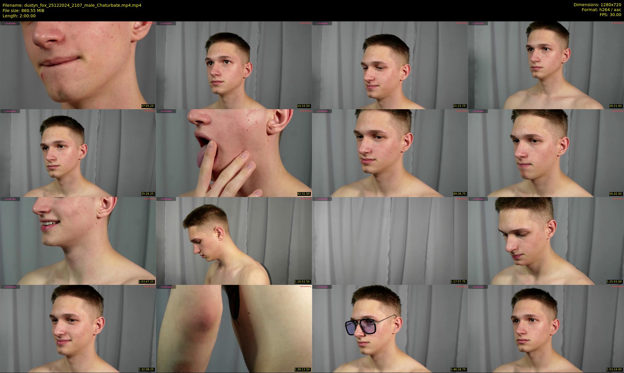 dustyn_fox — 120 minute Chaturbate male cam show recording, 720p, Dec 25, 2024