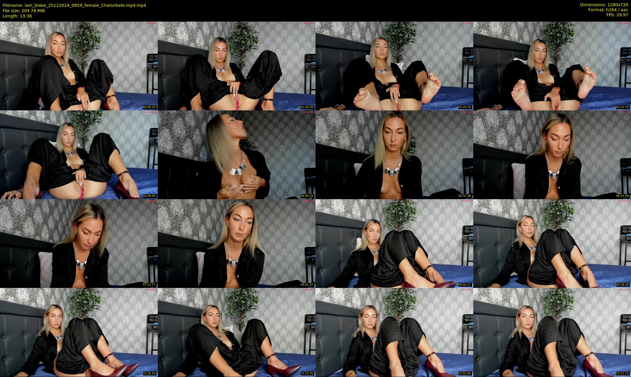 iam_blake — 14 minute Chaturbate female cam show recording, 720p, Dec 25, 2024