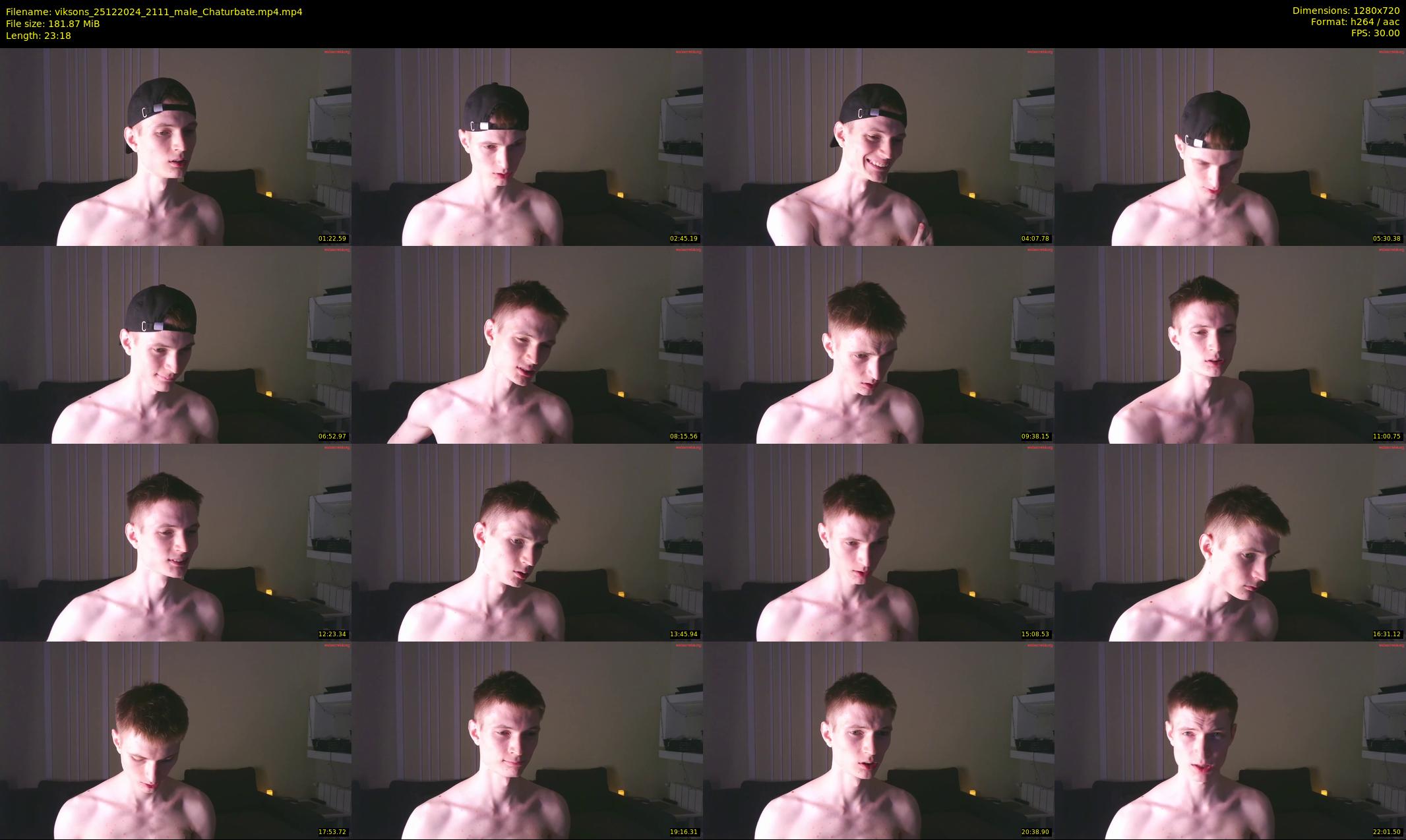viksons — 24 minute Chaturbate male cam show recording, 720p, Dec 25, 2024