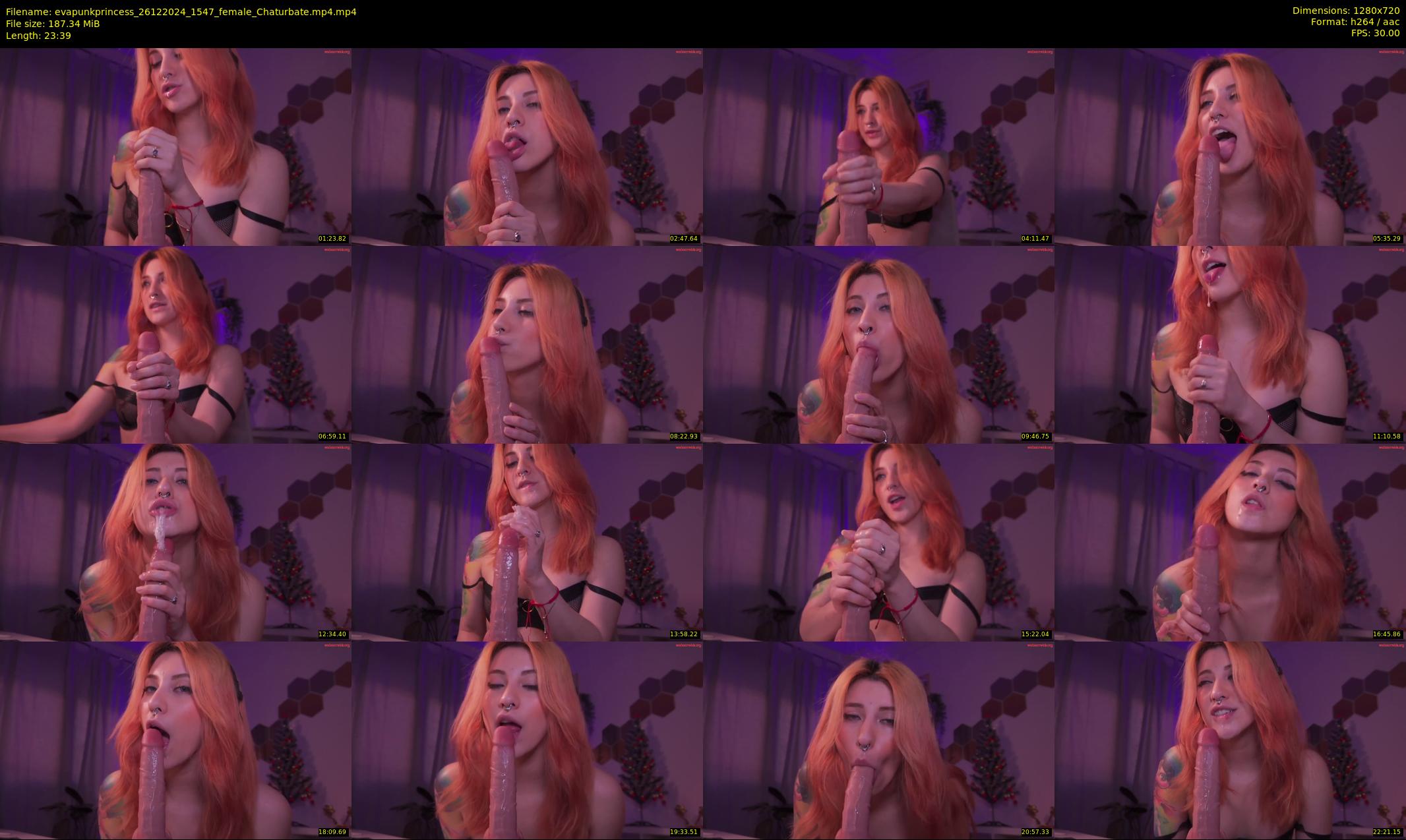 evapunkprincess — 24 minute Chaturbate female cam show recording, 720p, Dec 26, 2024