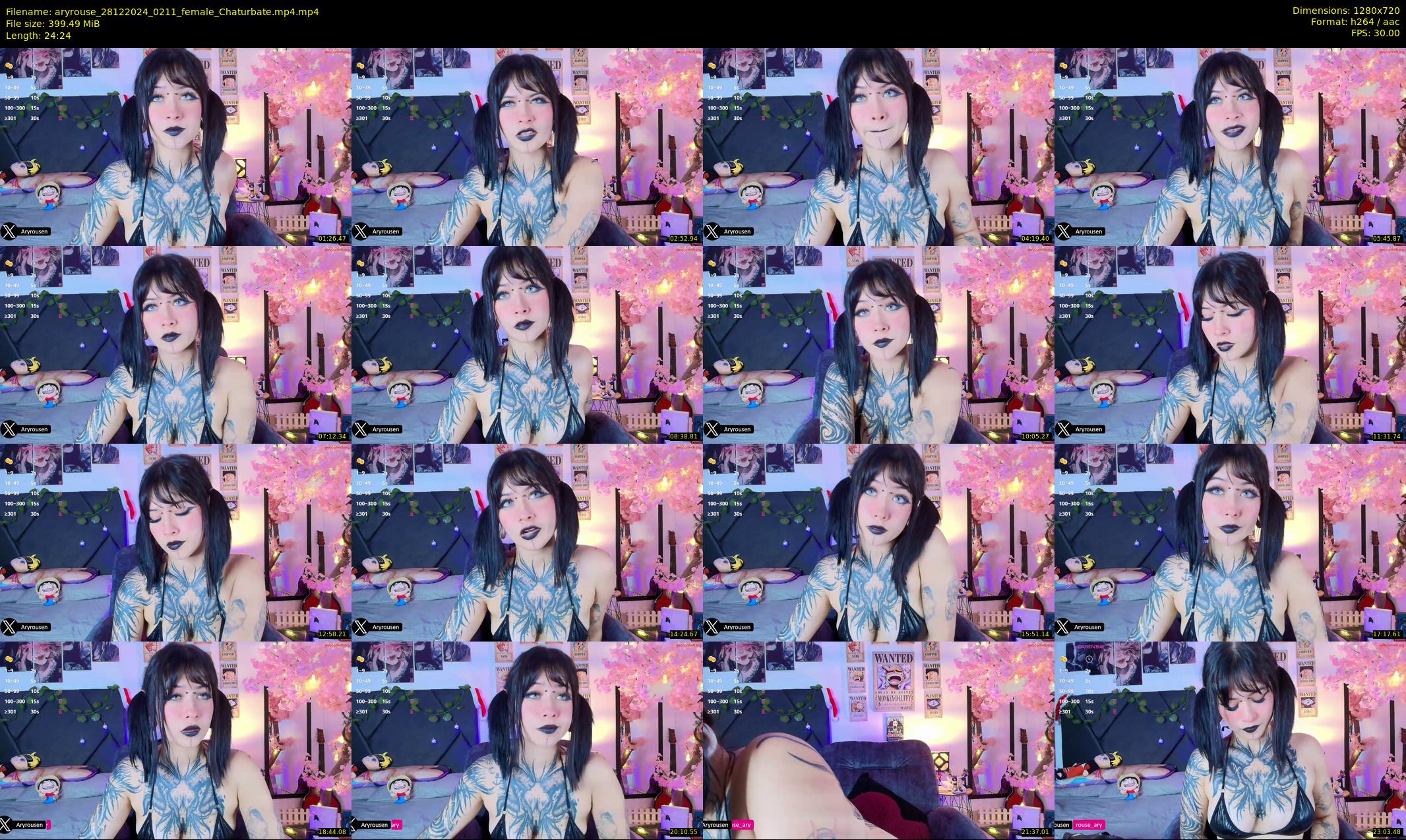 aryrouse — 25 minute Chaturbate female cam show recording, 720p, Dec 28, 2024