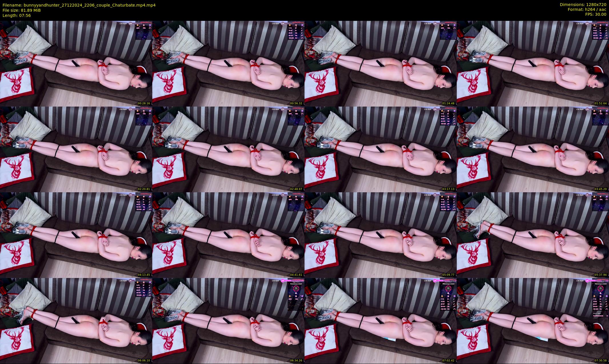 bunnyyandhunter — 8 minute Chaturbate couple cam show recording, 720p, Dec 27, 2024