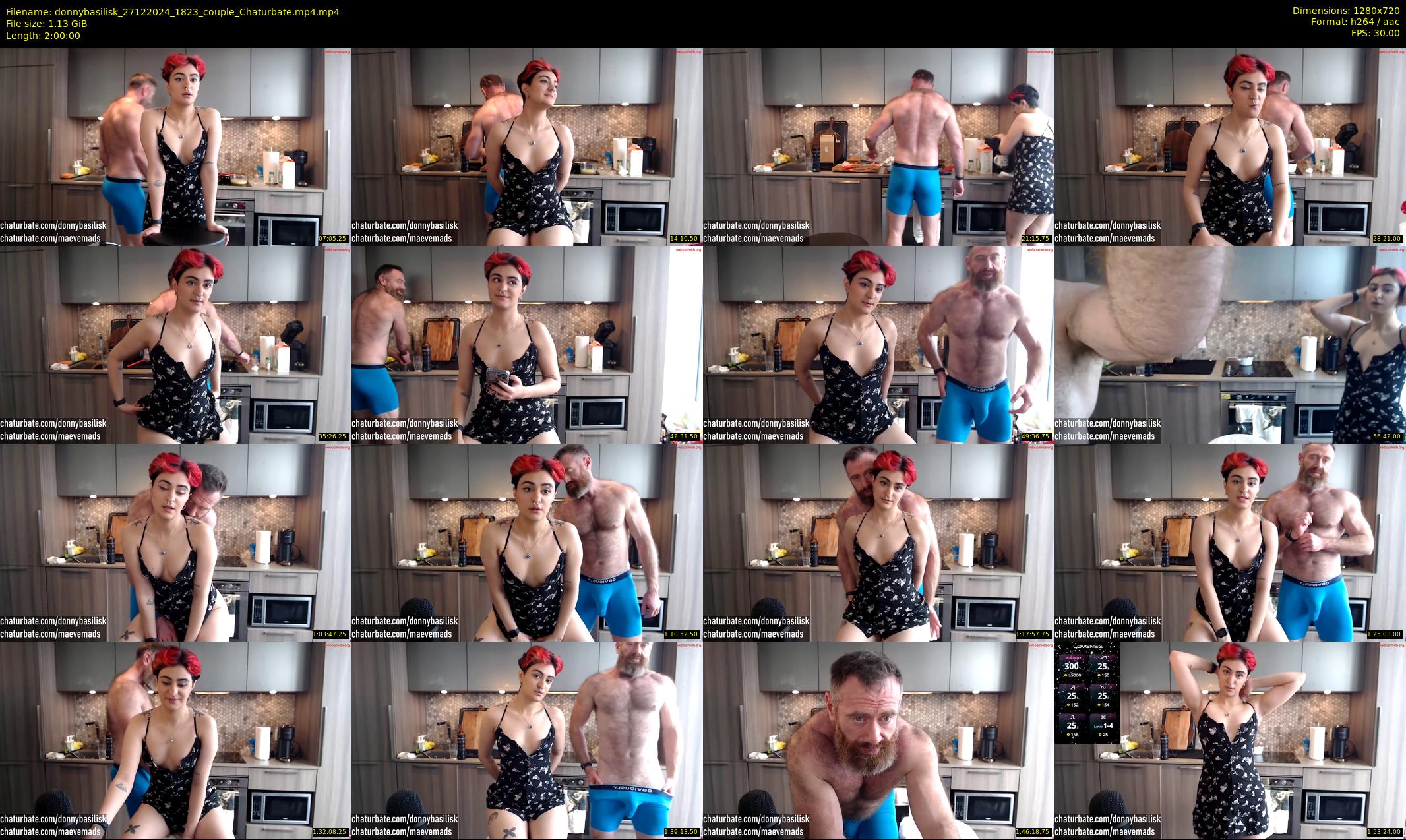 donnybasilisk — 120 minute Chaturbate male cam show recording, 720p, Dec 27, 2024