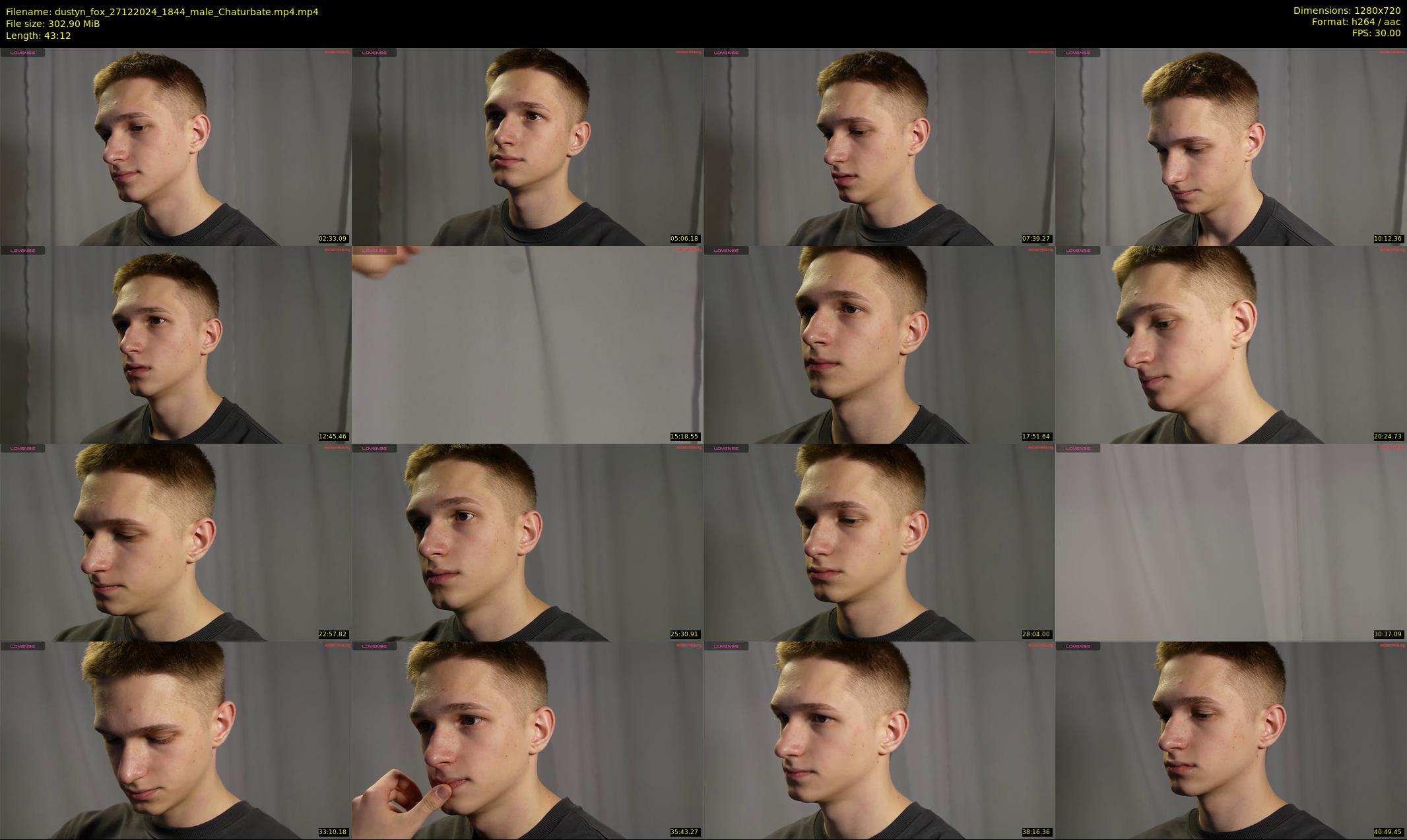 dustyn_fox — 44 minute Chaturbate male cam show recording, 720p, Dec 27, 2024