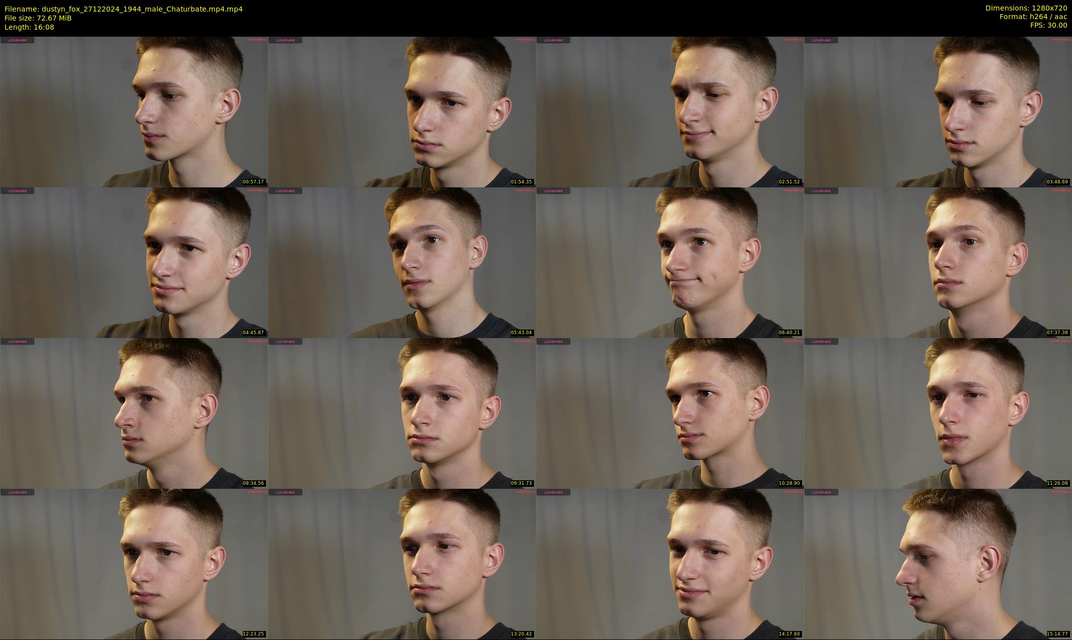 dustyn_fox — 17 minute Chaturbate male cam show recording, 720p, Dec 27, 2024