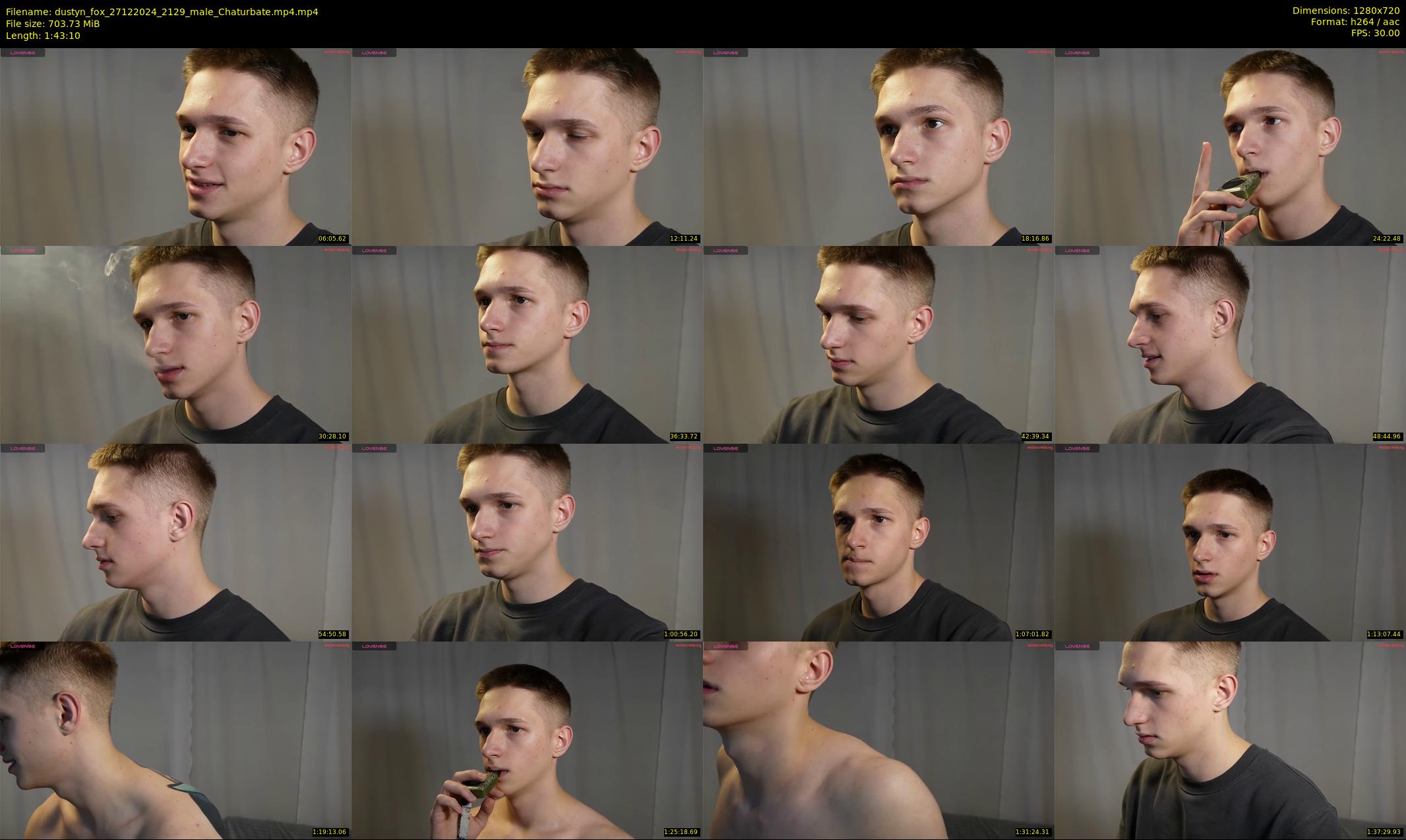 dustyn_fox — 104 minute Chaturbate male cam show recording, 720p, Dec 27, 2024