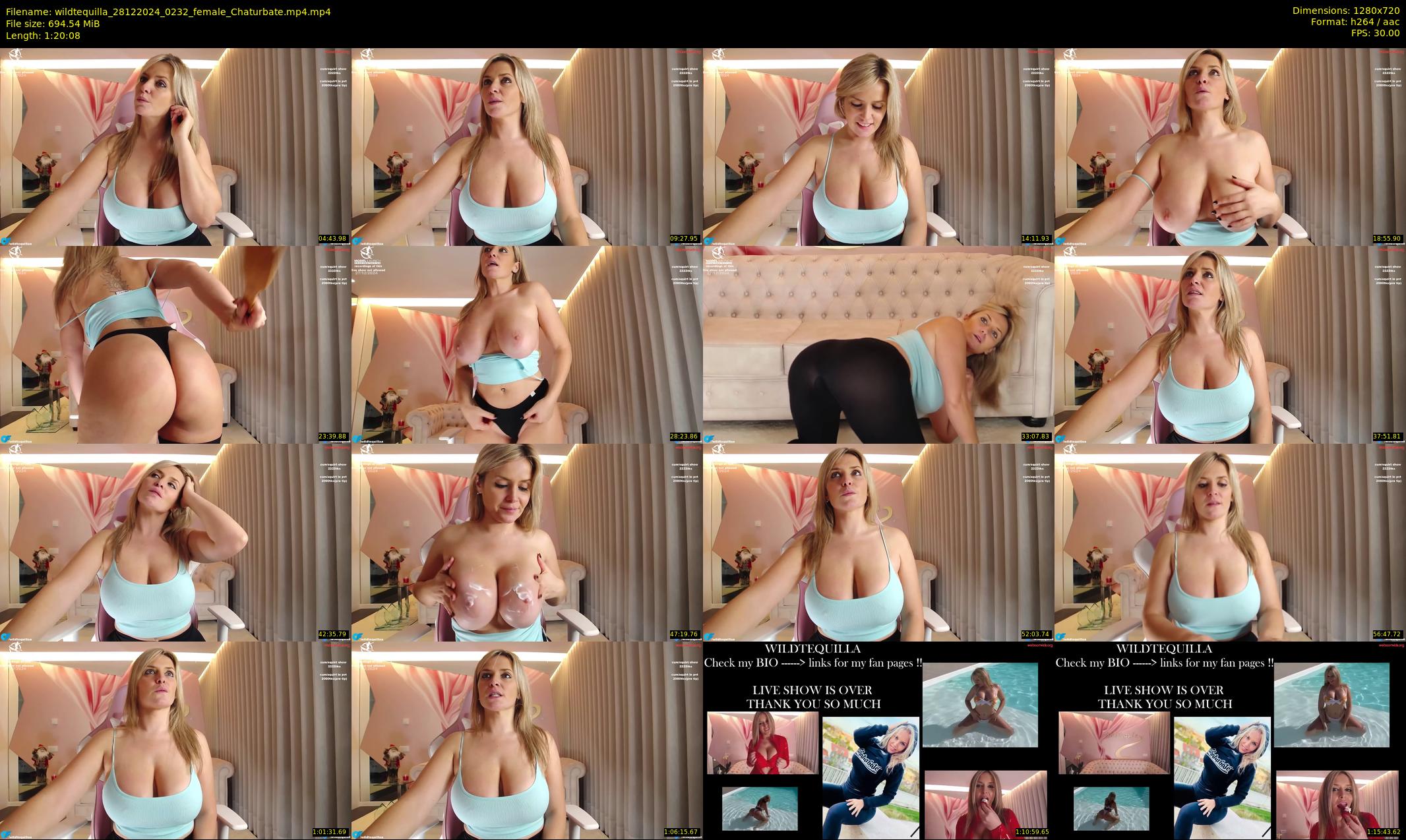 wildtequilla — 81 minute Chaturbate couple cam show recording, 720p, Dec 28, 2024