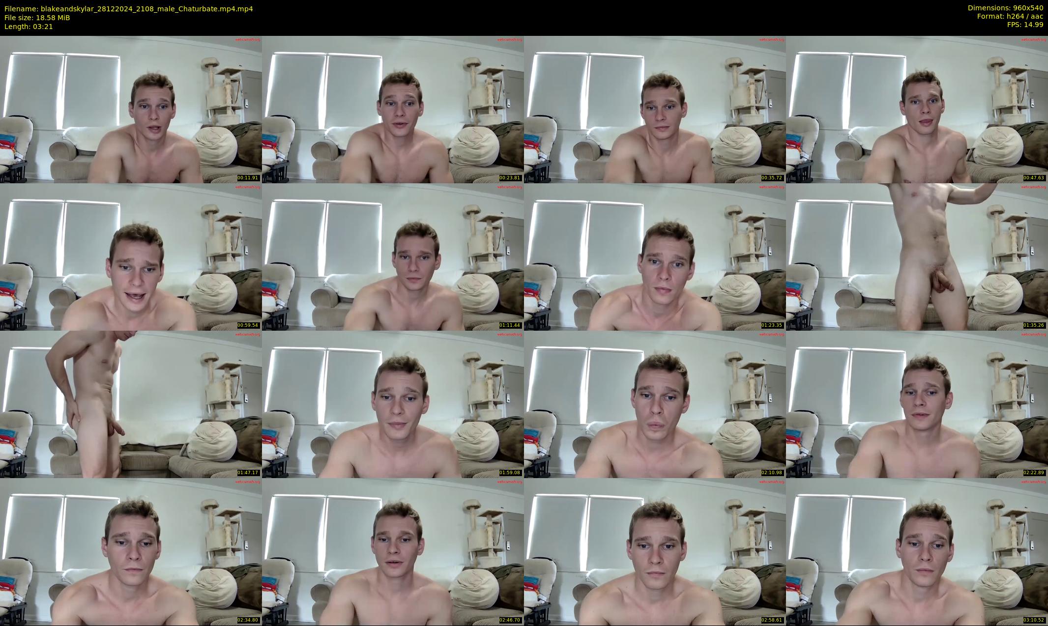 blakeandskylar — 4 minute Chaturbate couple cam show recording, 480p, Dec 28, 2024