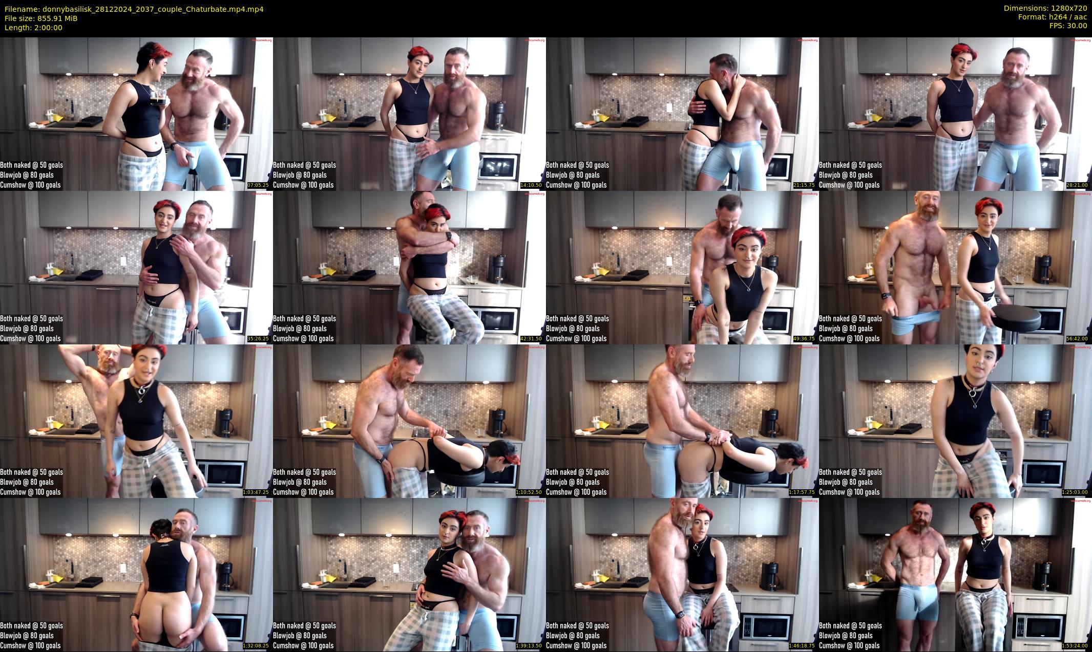 donnybasilisk — 120 minute Chaturbate male cam show recording, 720p, Dec 28, 2024
