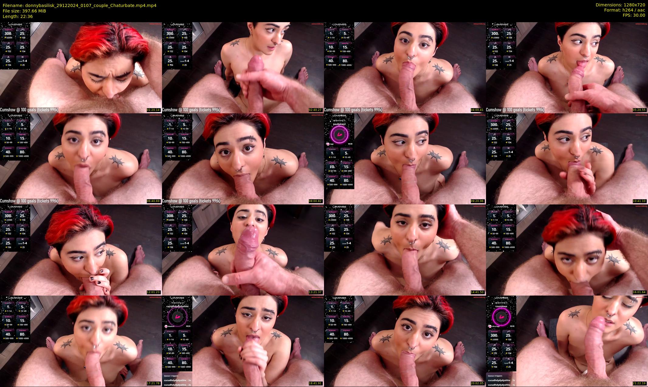 donnybasilisk — 23 minute Chaturbate male cam show recording, 720p, Dec 29, 2024