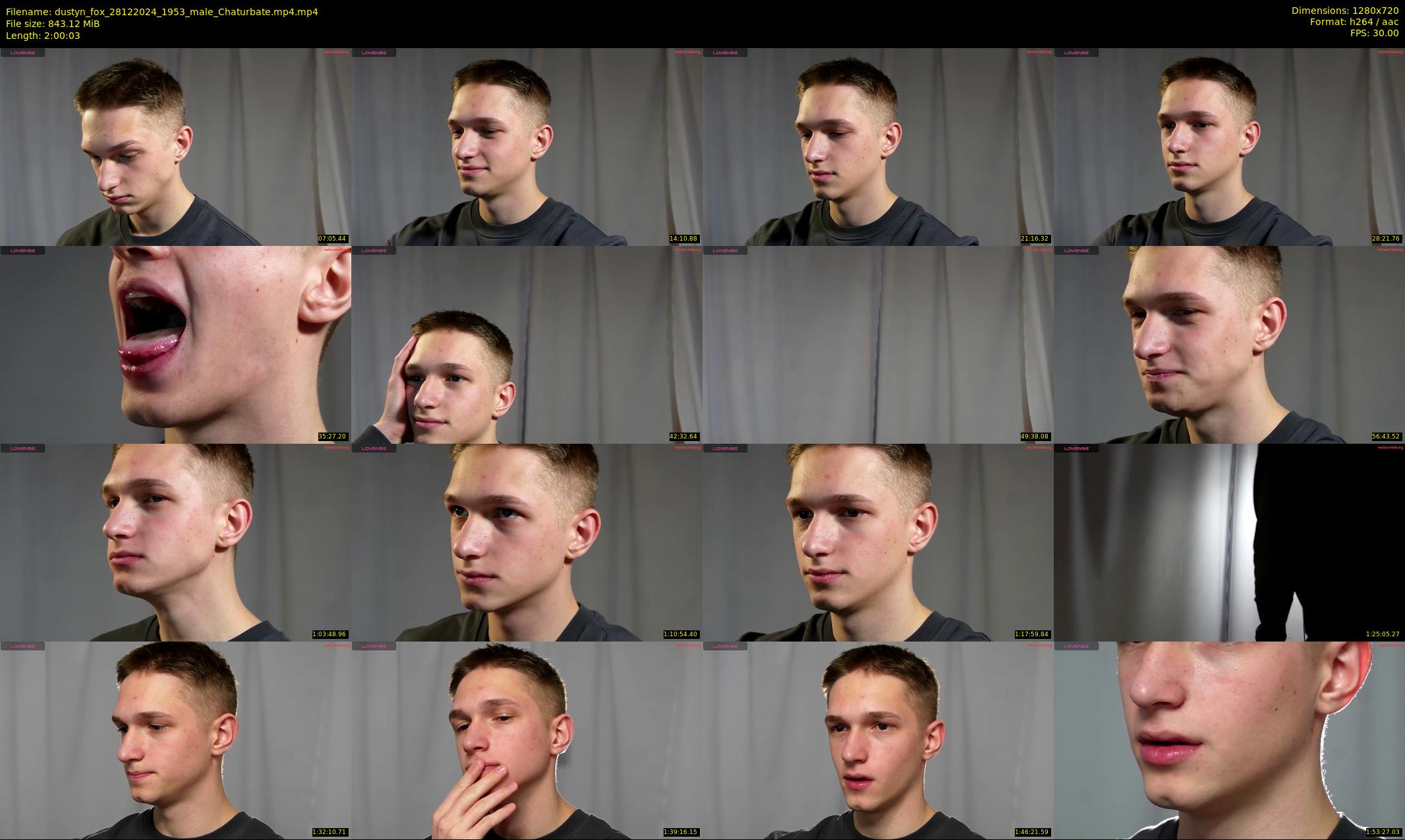 dustyn_fox — 121 minute Chaturbate male cam show recording, 720p, Dec 28, 2024