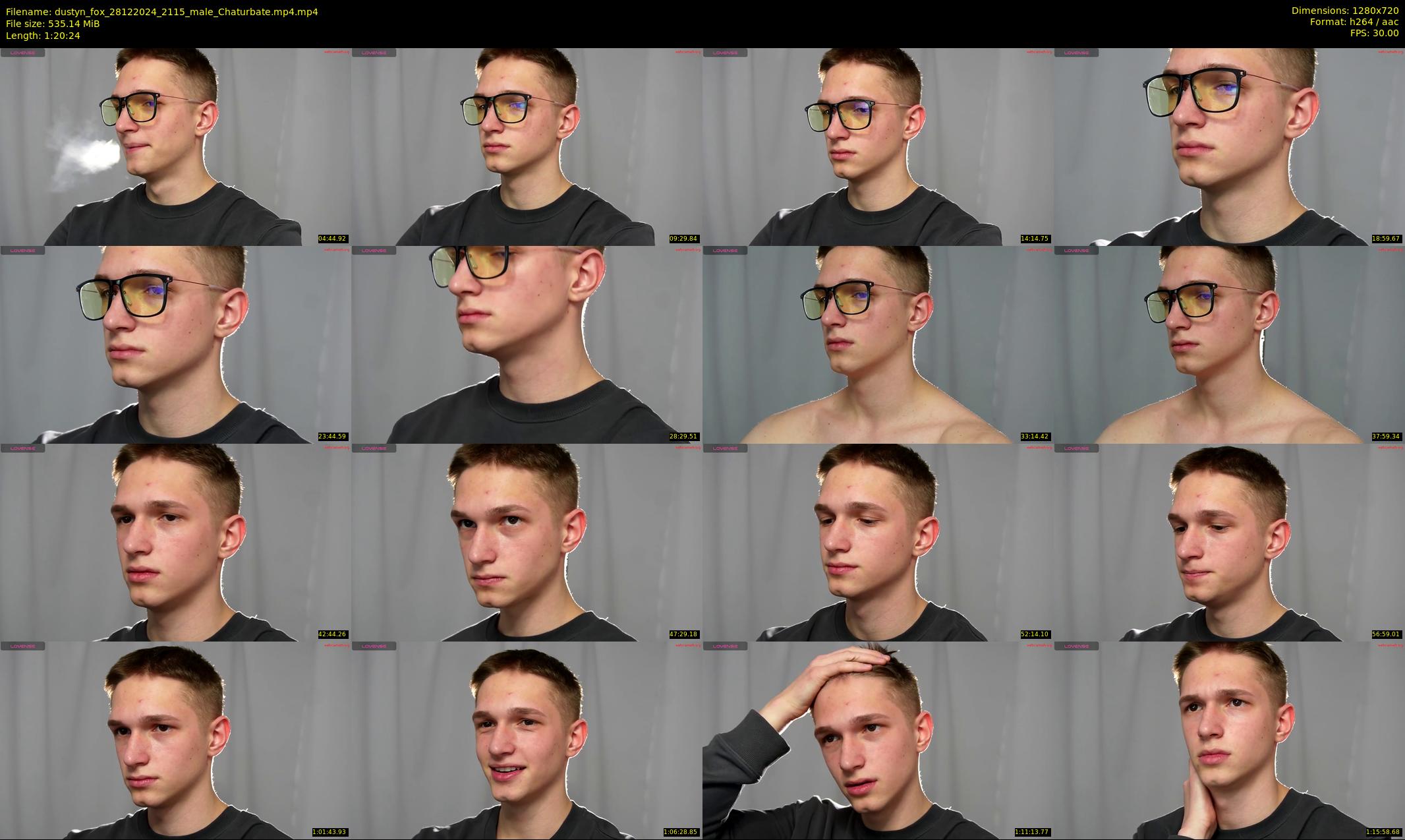 dustyn_fox — 81 minute Chaturbate male cam show recording, 720p, Dec 28, 2024