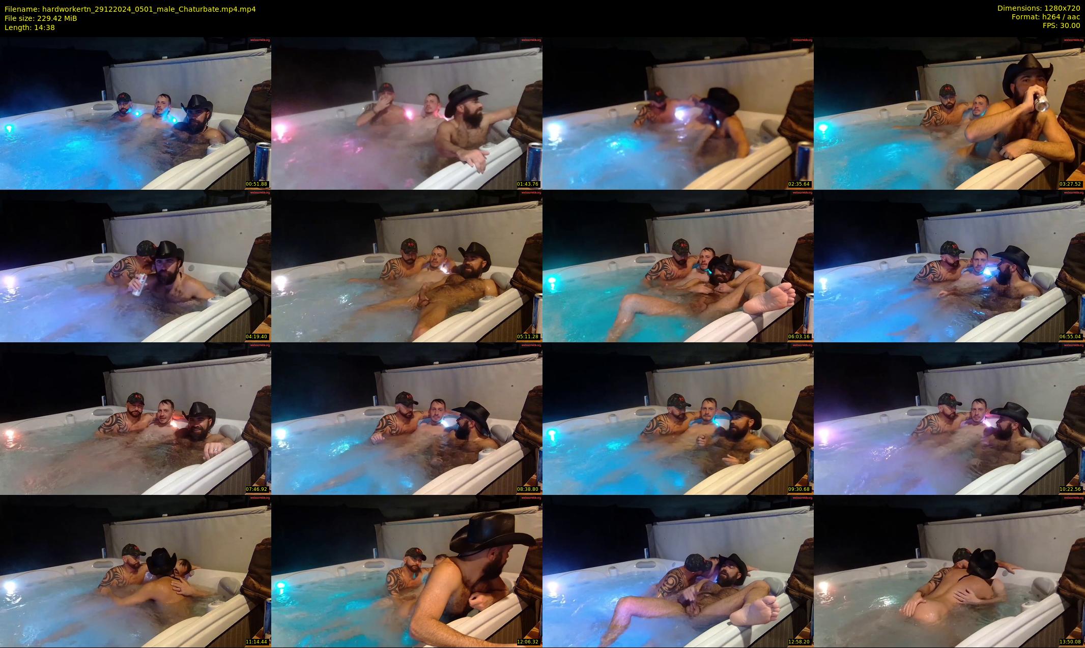 hardworkertn — 15 minute Chaturbate male cam show recording, 720p, Dec 29, 2024