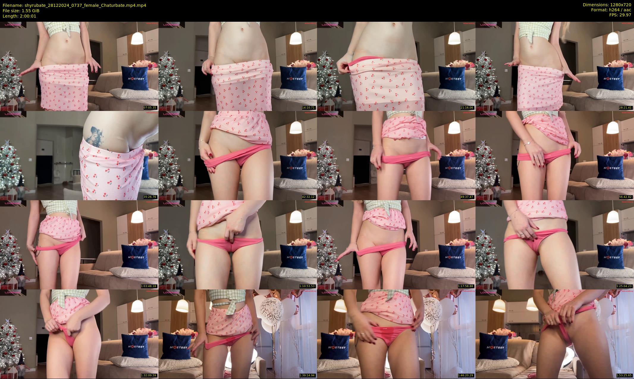 shyrubate — 121 minute Chaturbate female cam show recording, 720p, Dec 28, 2024