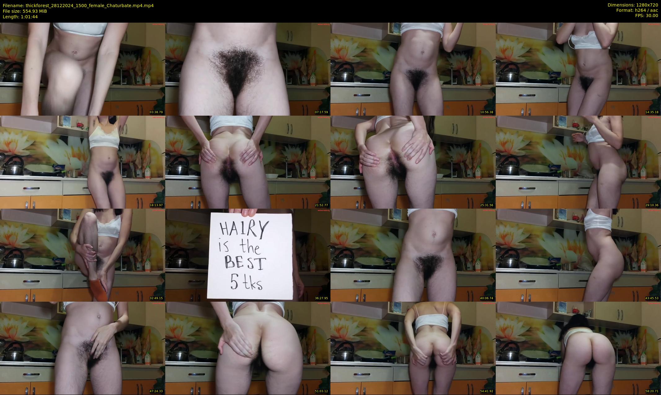 thickforest — 62 minute Chaturbate female cam show recording, 720p, Dec 28, 2024