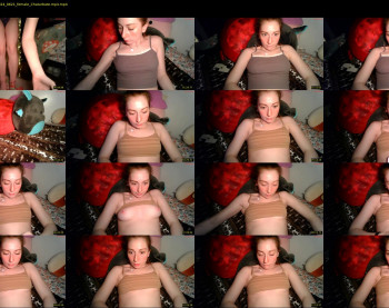 daddysdollhouse — 13 minute Chaturbate female cam show recording, 720p, Dec 29, 2024