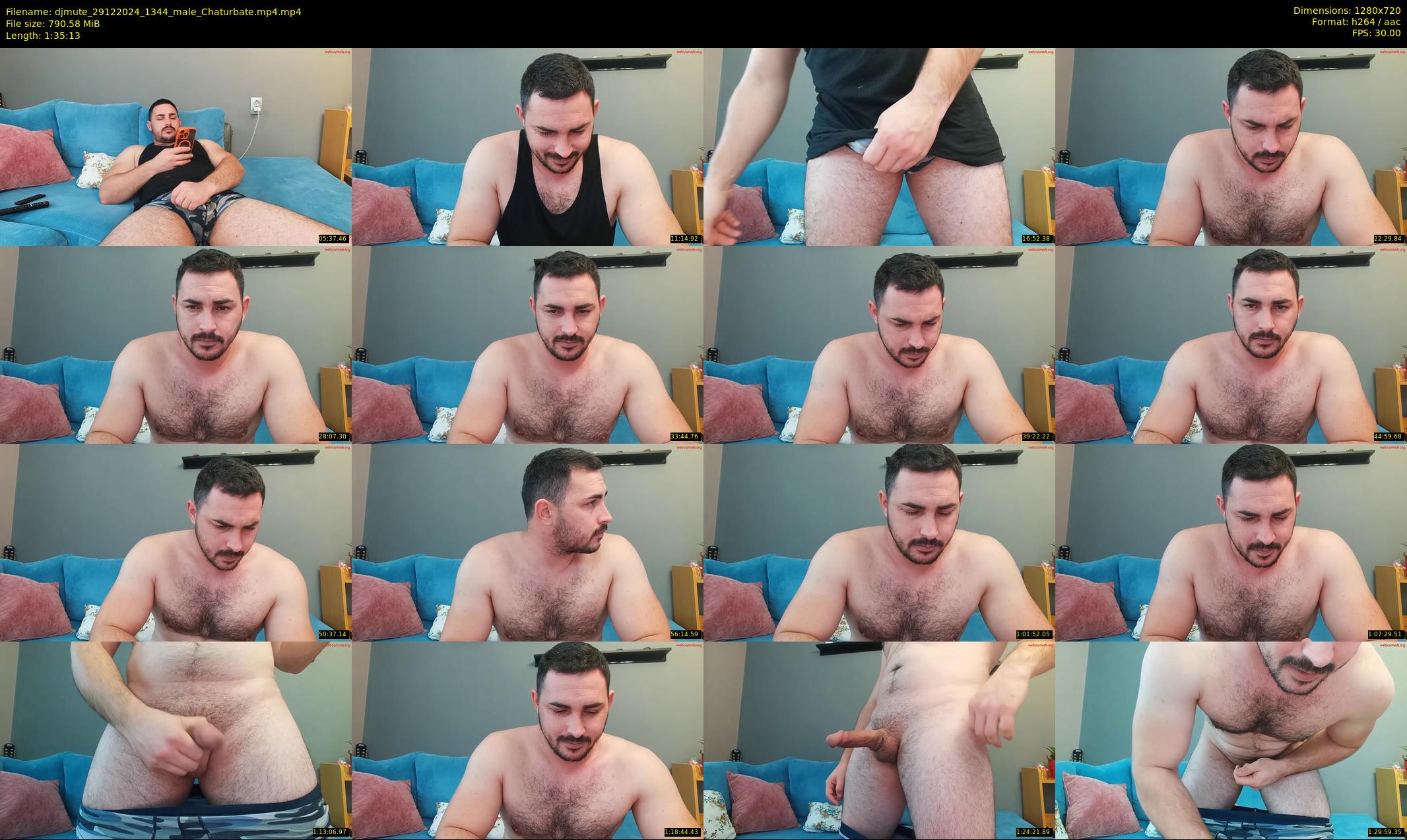 djmute — 96 minute Chaturbate male cam show recording, 720p, Dec 29, 2024