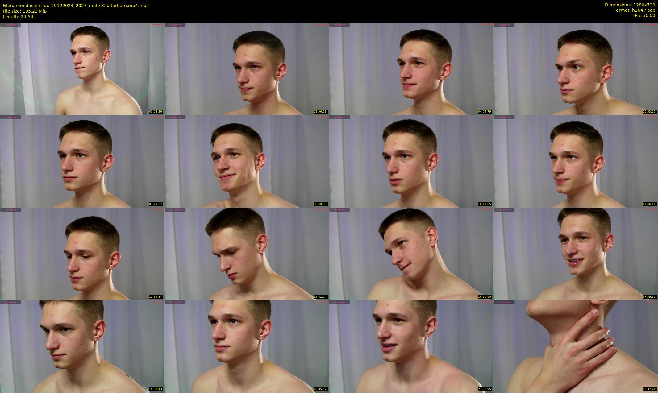 dustyn_fox — 25 minute Chaturbate male cam show recording, 720p, Dec 29, 2024