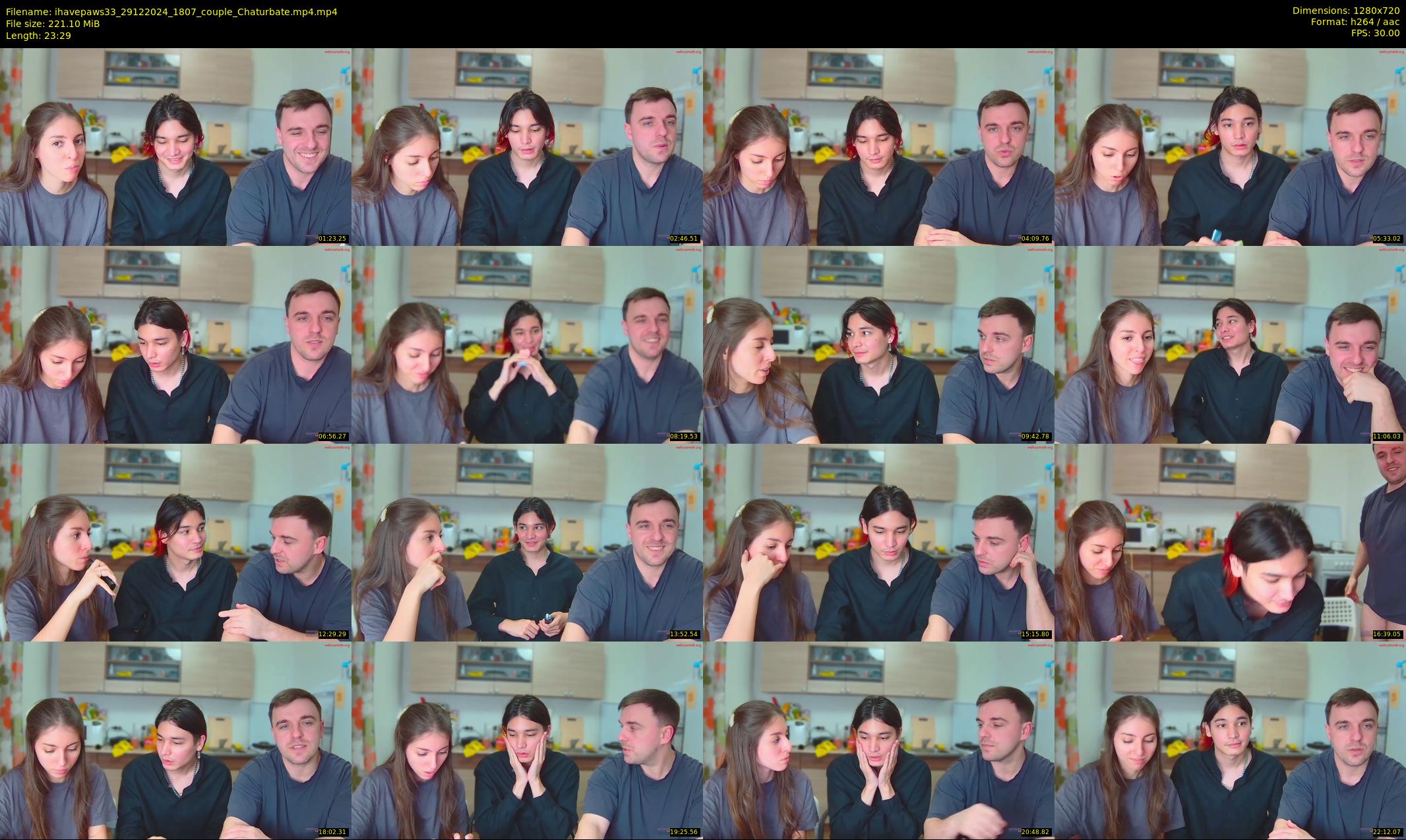 ihavepaws33 — 24 minute Chaturbate couple cam show recording, 720p, Dec 29, 2024