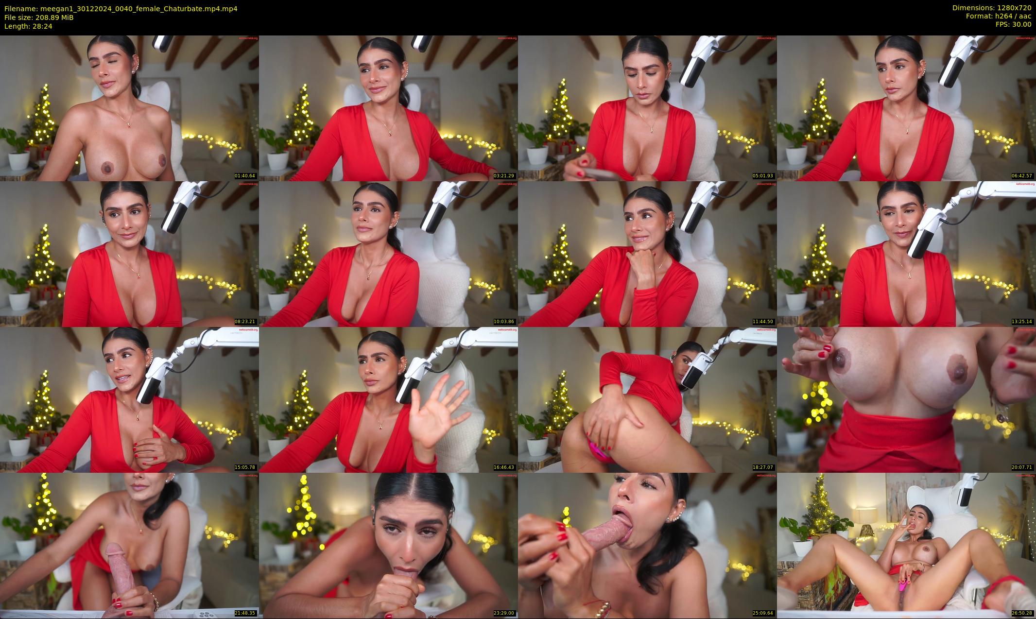 meegan1 — 29 minute Chaturbate female cam show recording, 720p, Dec 30, 2024