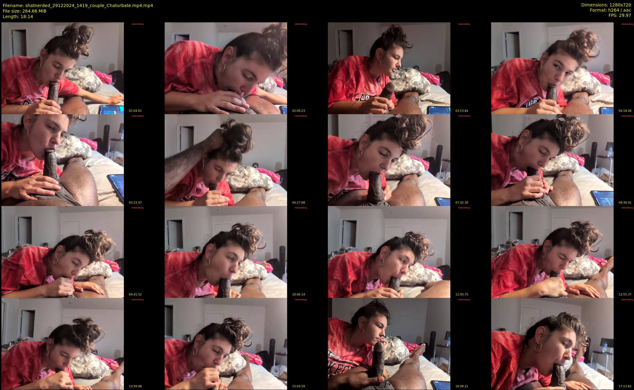 shatnerded — 19 minute Chaturbate couple cam show recording, 720p, Dec 29, 2024