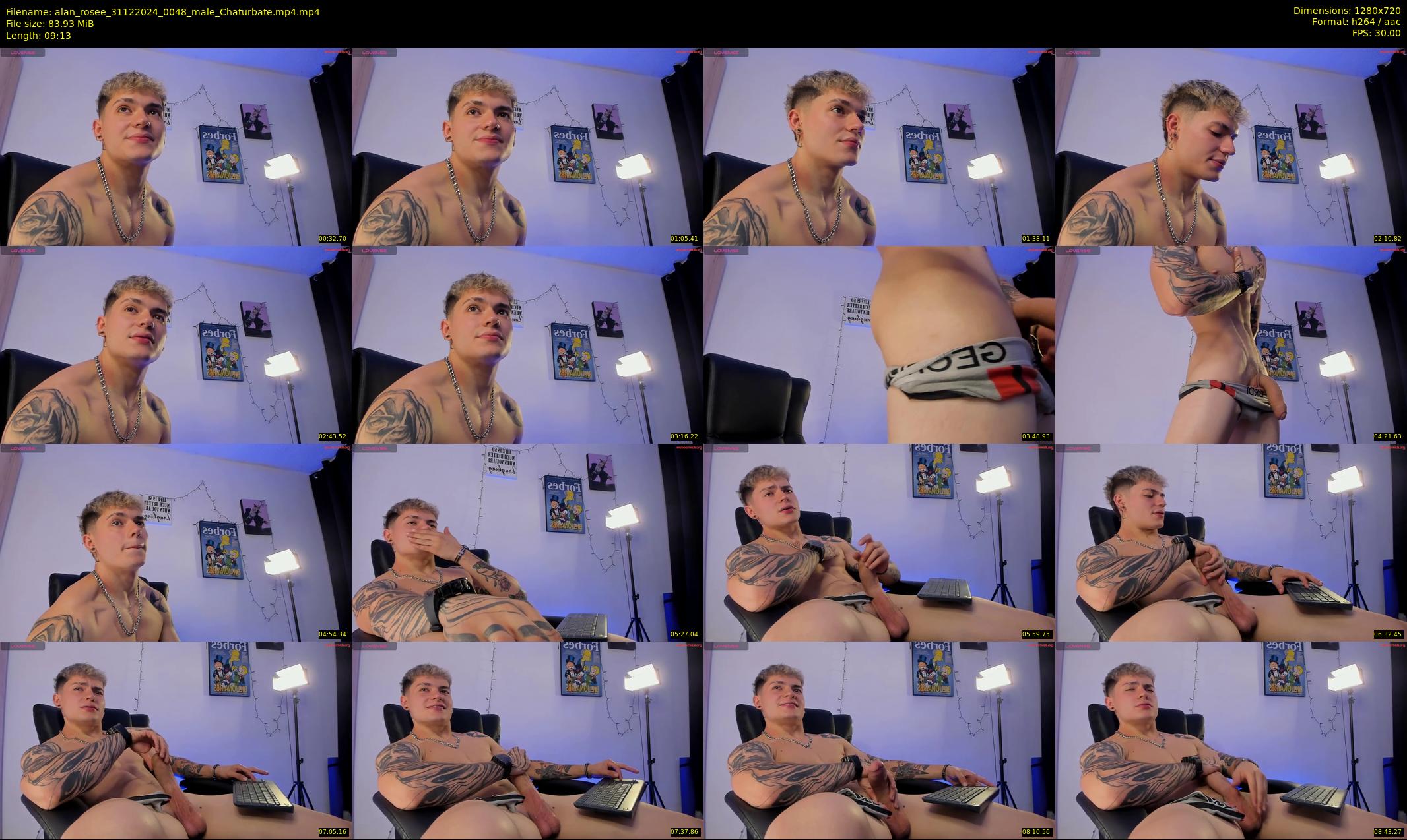 alan_rosee — 10 minute Chaturbate male cam show recording, 720p, Dec 31, 2024