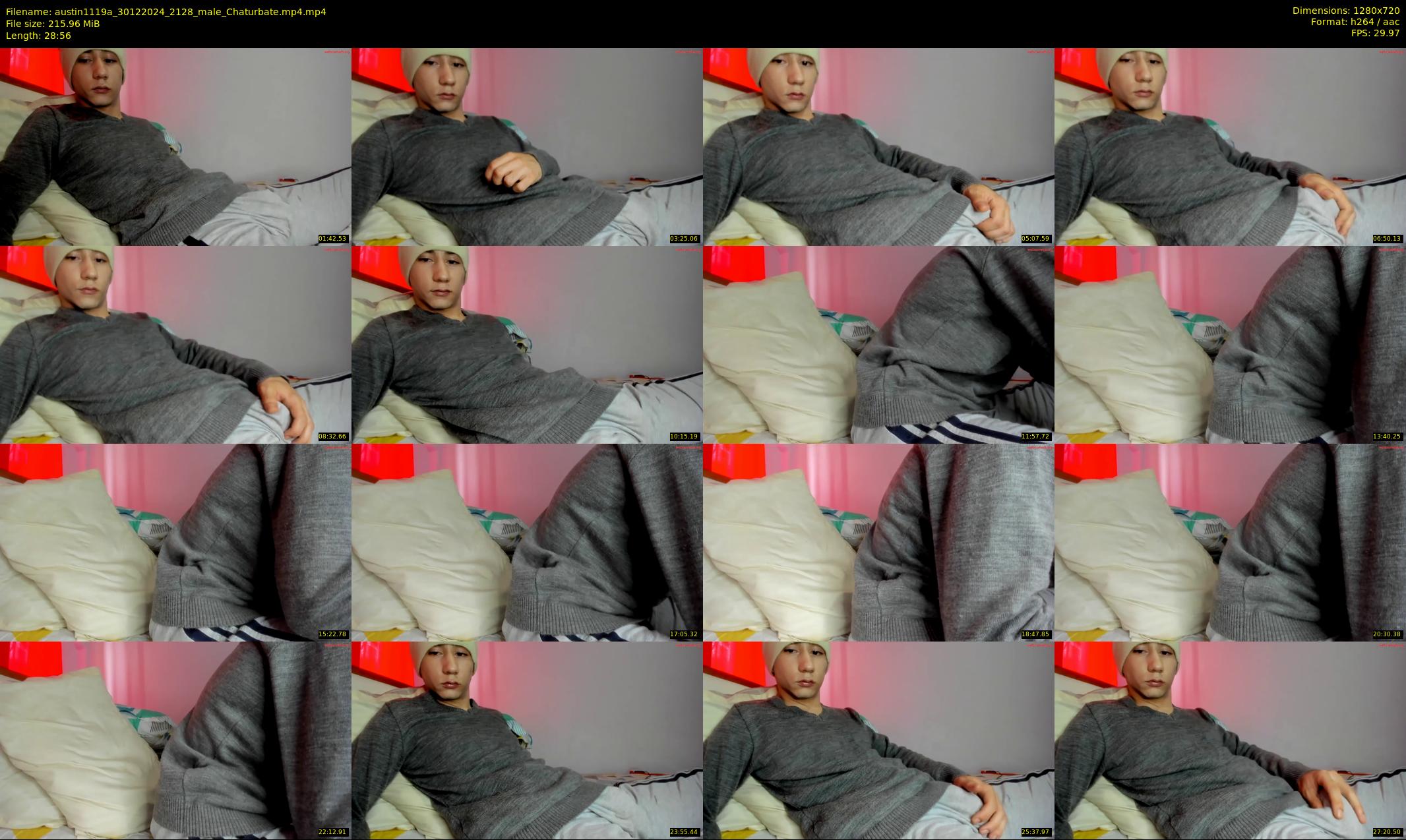 austin1119a — 29 minute Chaturbate male cam show recording, 720p, Dec 30, 2024