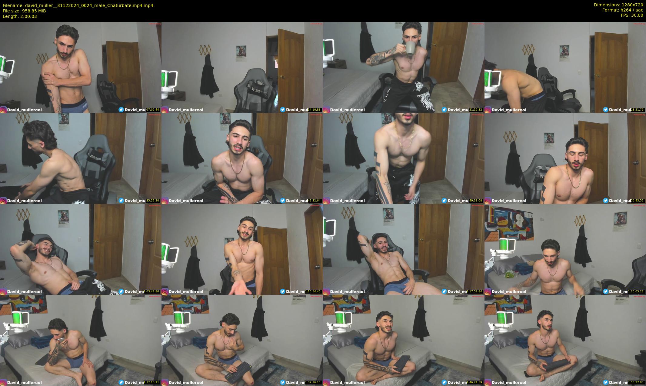 david_muller_ — 121 minute Chaturbate male cam show recording, 720p, Dec 31, 2024