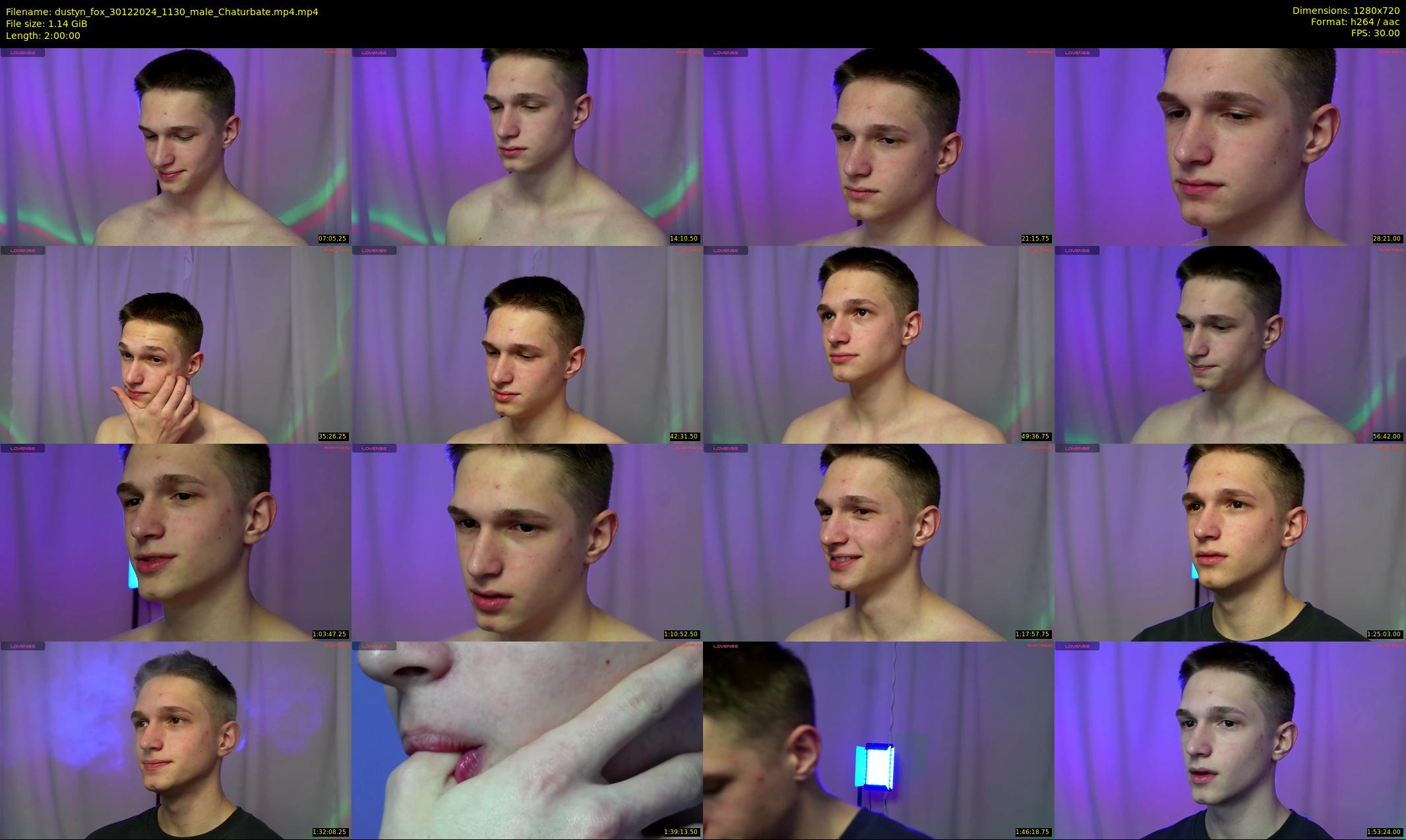 dustyn_fox — 120 minute Chaturbate male cam show recording, 720p, Dec 30, 2024