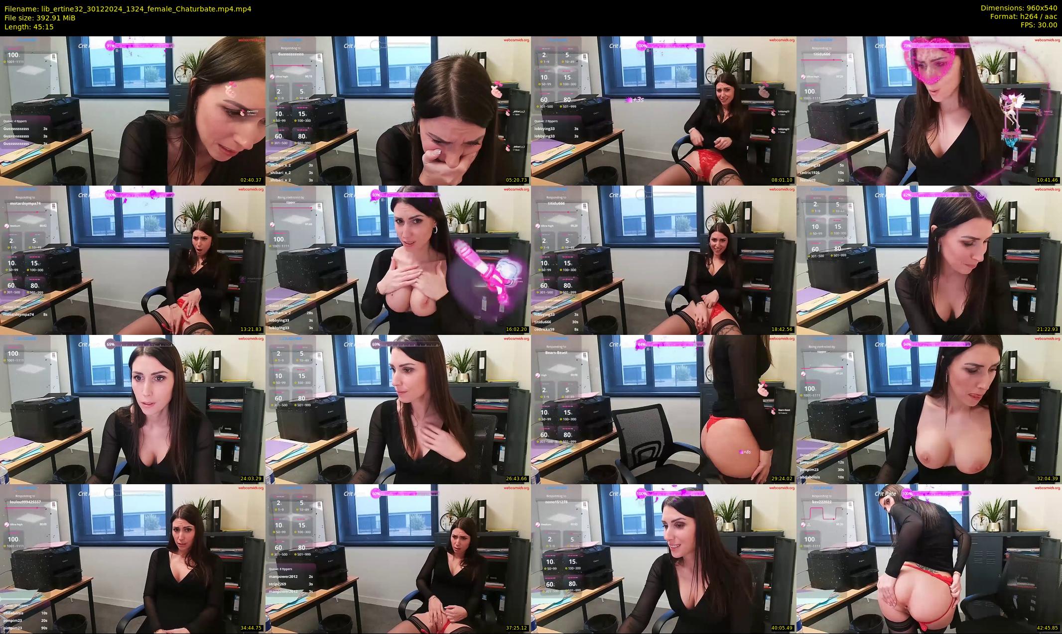 lib_ertine32 — 46 minute Chaturbate female cam show recording, 480p, Dec 30, 2024
