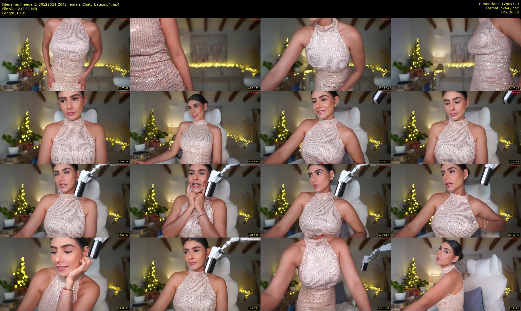meegan1 — 19 minute Chaturbate female cam show recording, 720p, Dec 30, 2024