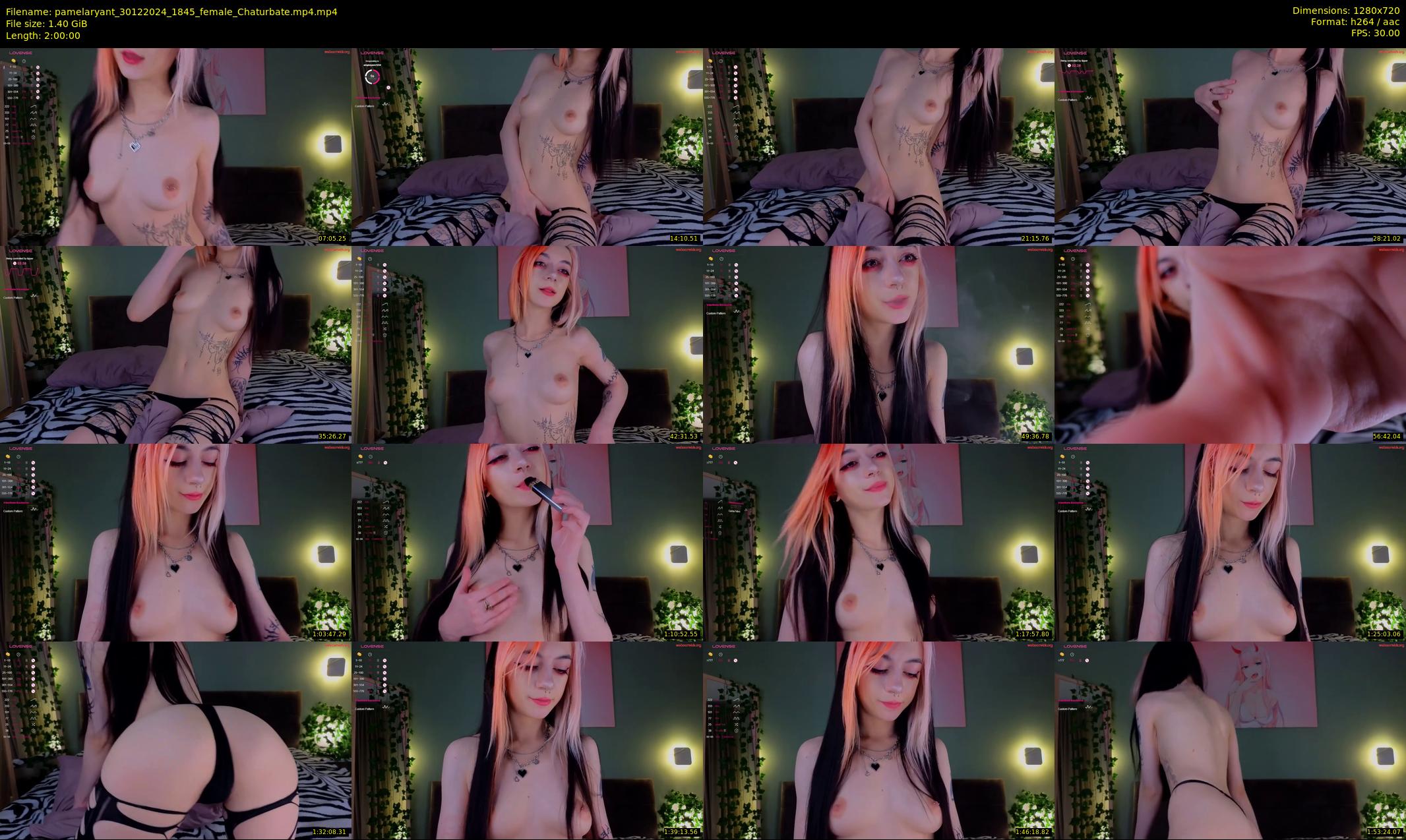 pamelaryant — 120 minute Chaturbate female cam show recording, 720p, Dec 30, 2024