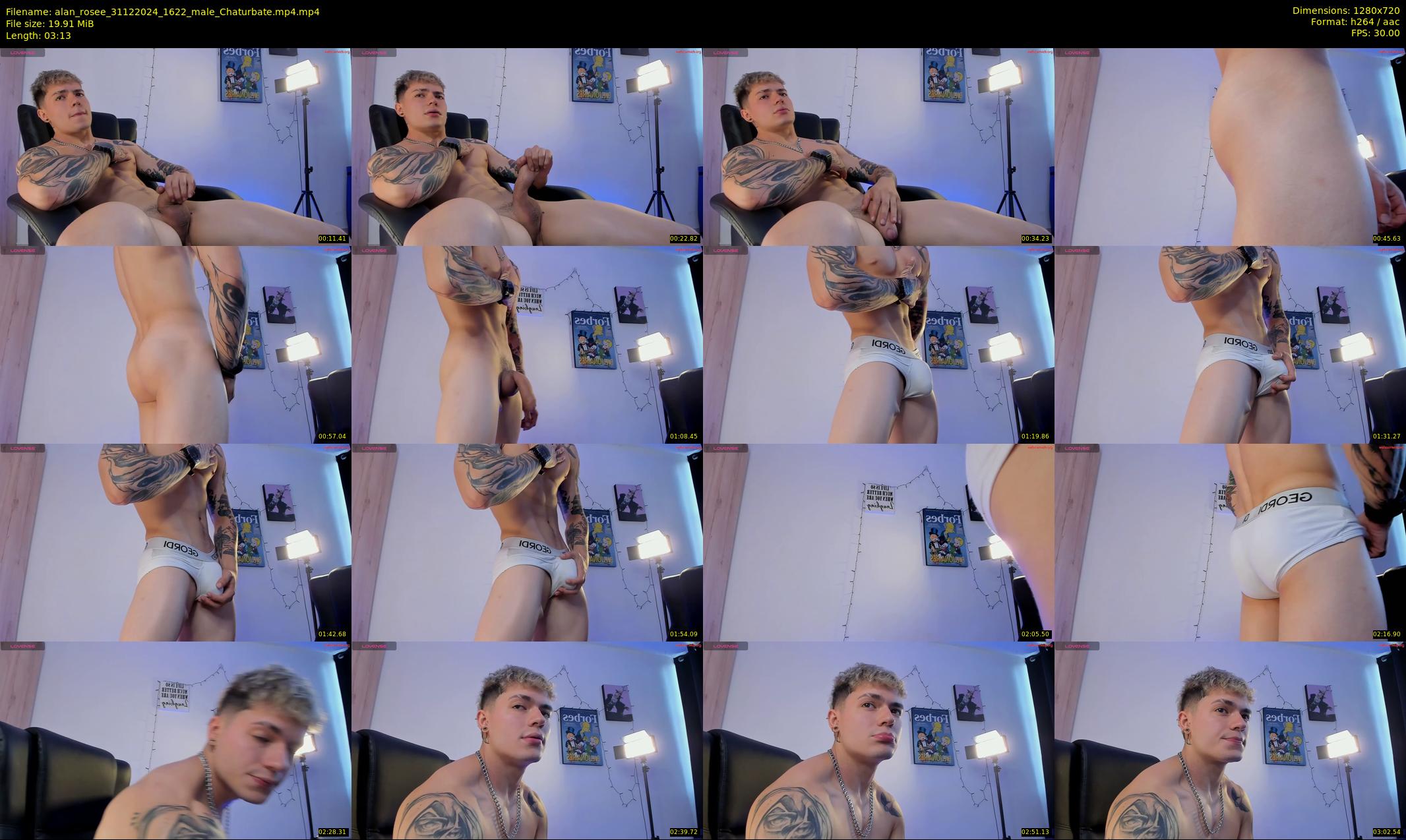 alan_rosee — 4 minute Chaturbate male cam show recording, 720p, Dec 31, 2024
