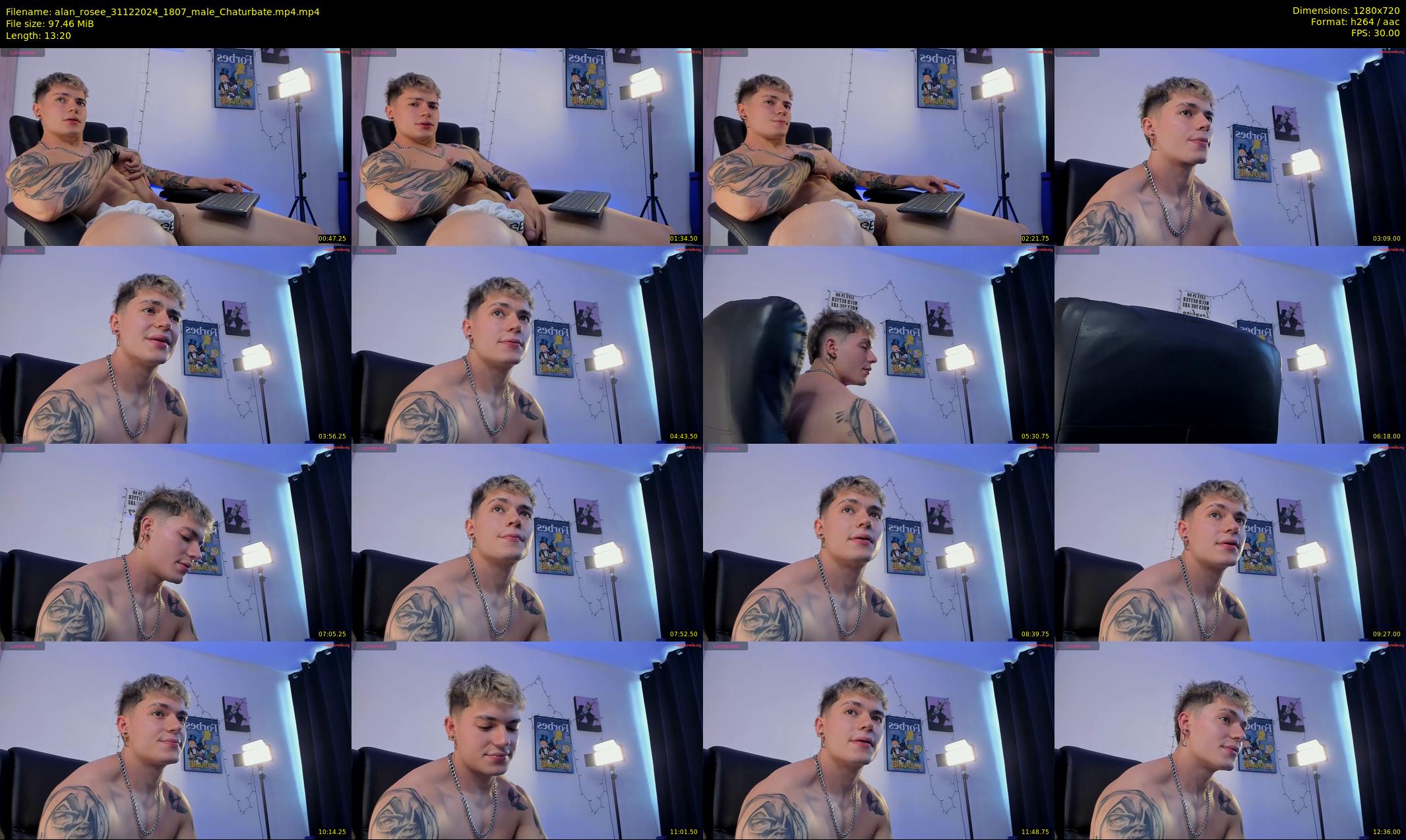 alan_rosee — 14 minute Chaturbate male cam show recording, 720p, Dec 31, 2024