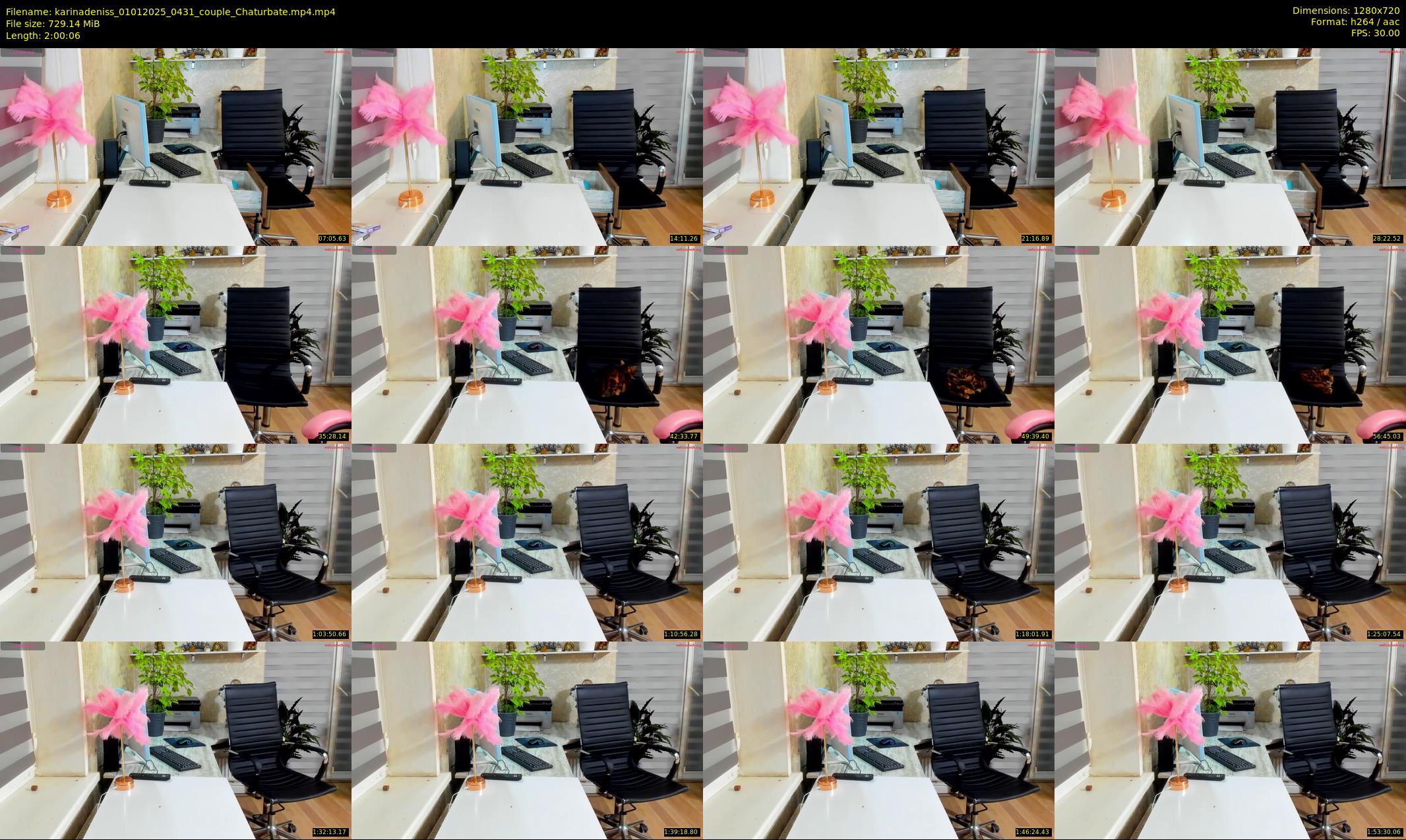 karinadeniss — 121 minute Chaturbate couple cam show recording, 720p, Jan 1, 2025