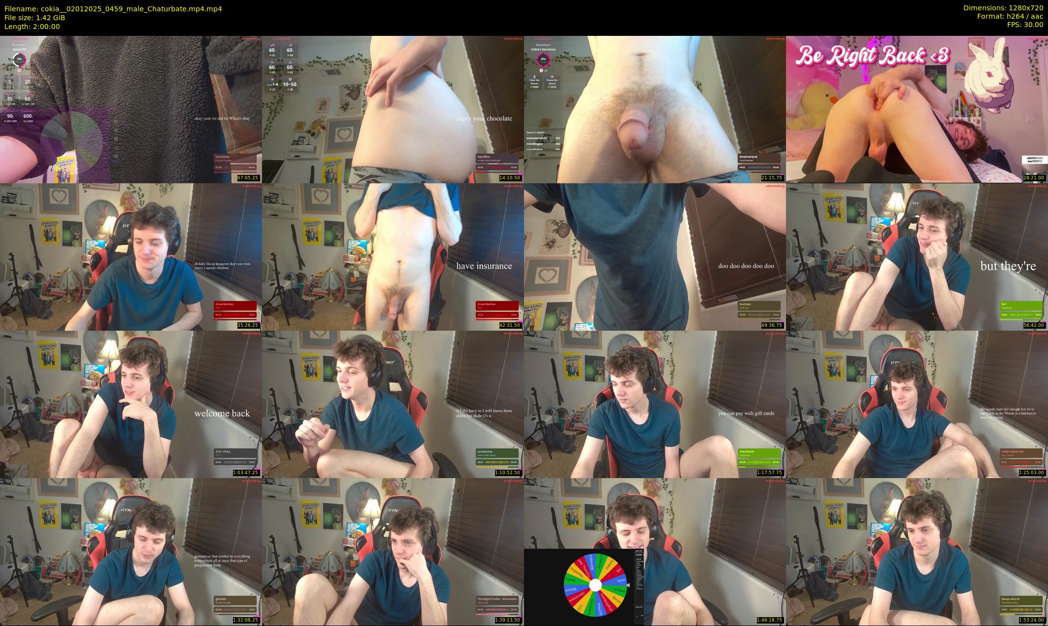 cokia_ — 120 minute Chaturbate male cam show recording, 720p, Jan 2, 2025