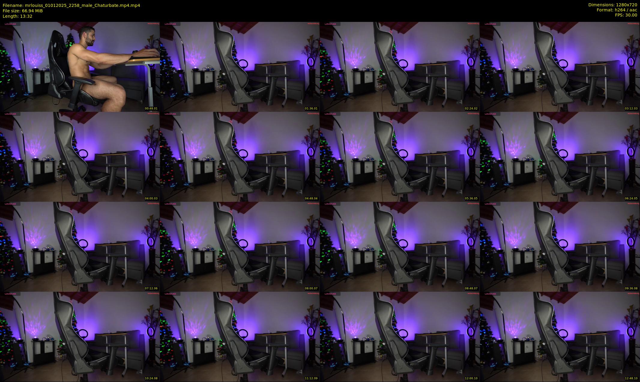 mrlouiss — 14 minute Chaturbate male cam show recording, 720p, Jan 1, 2025
