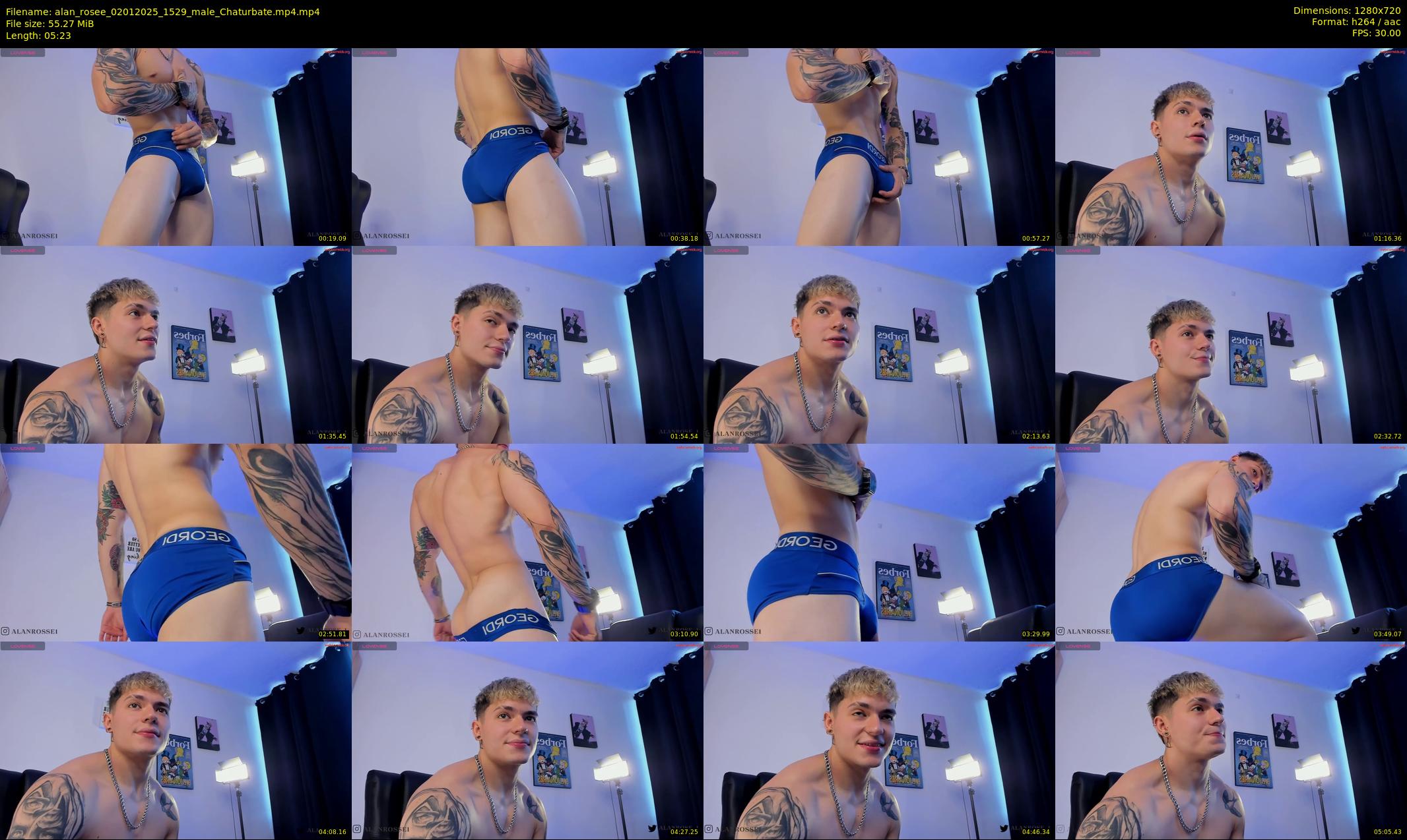 alan_rosee — 6 minute Chaturbate male cam show recording, 720p, Jan 2, 2025